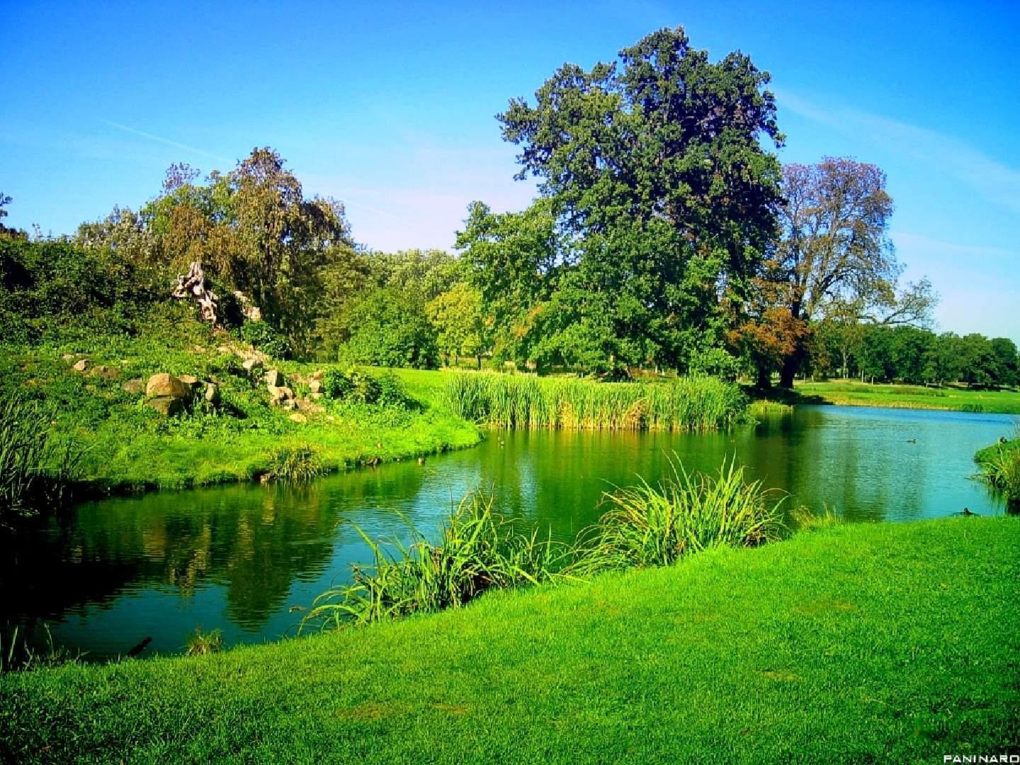 Green nature pond with great spring colors wallpaper free desktop