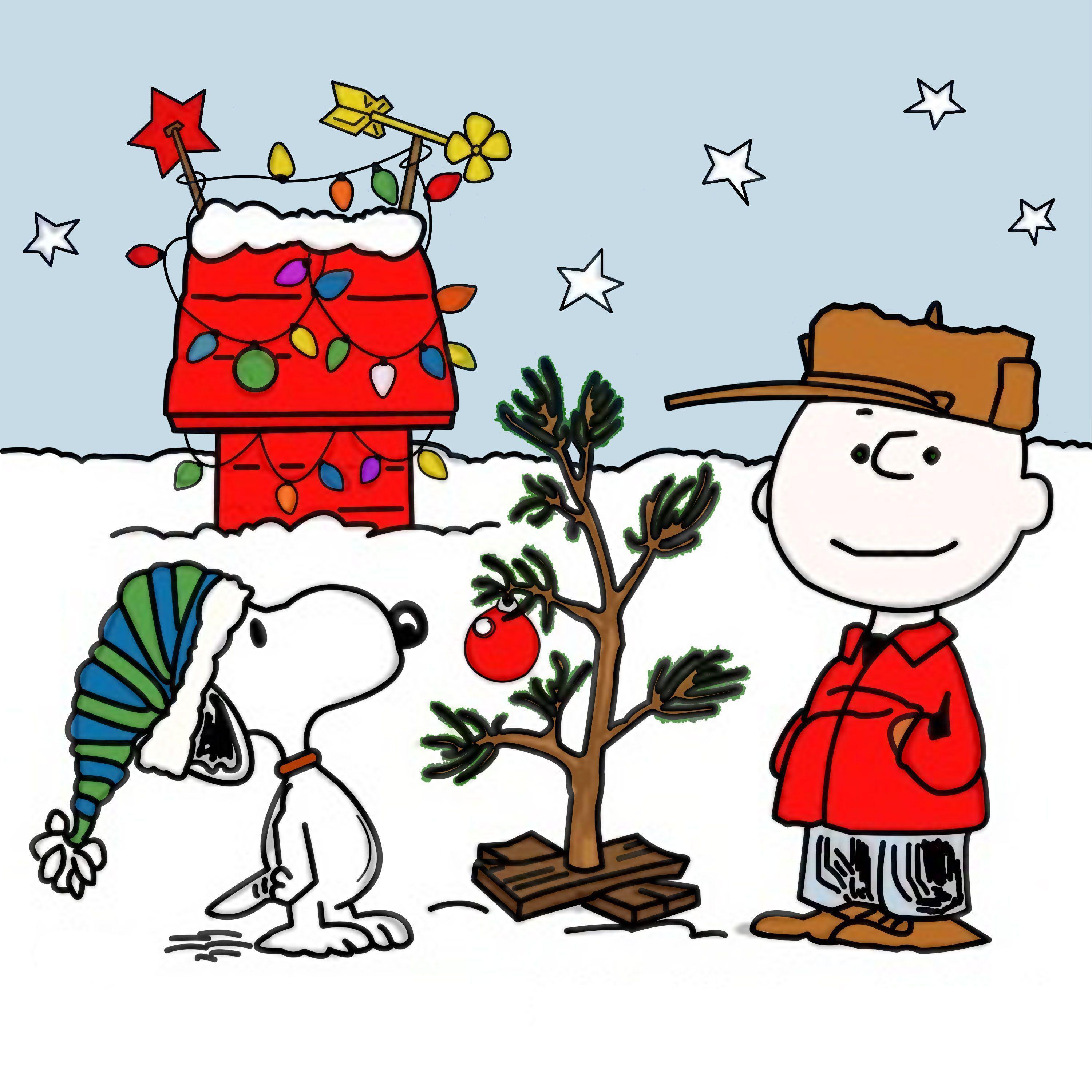 Xmas Stuff For > Charlie Brown Snoopy Christmas Wallpaper
