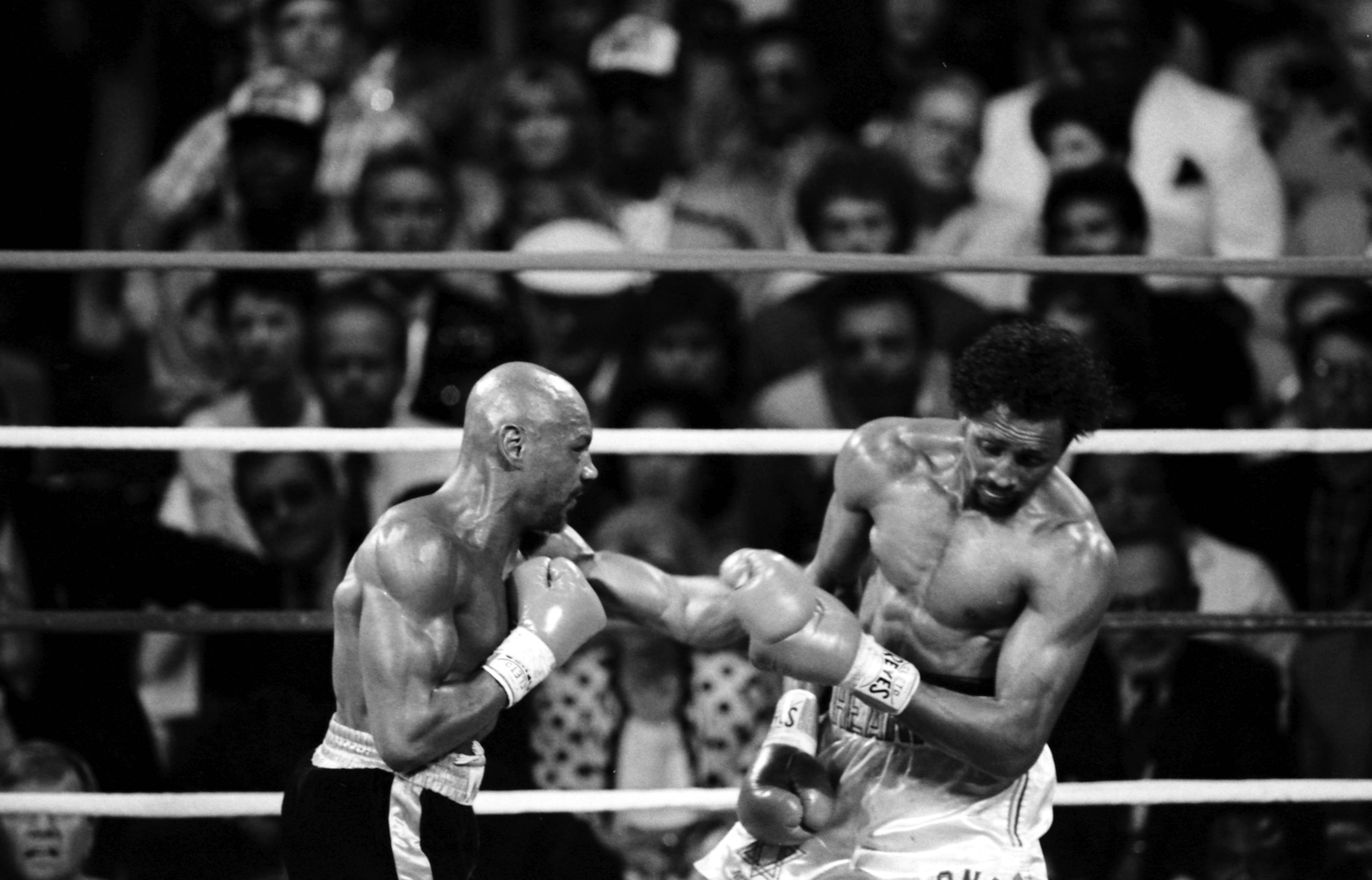 Marvin Hagler Wallpapers Wallpaper Cave