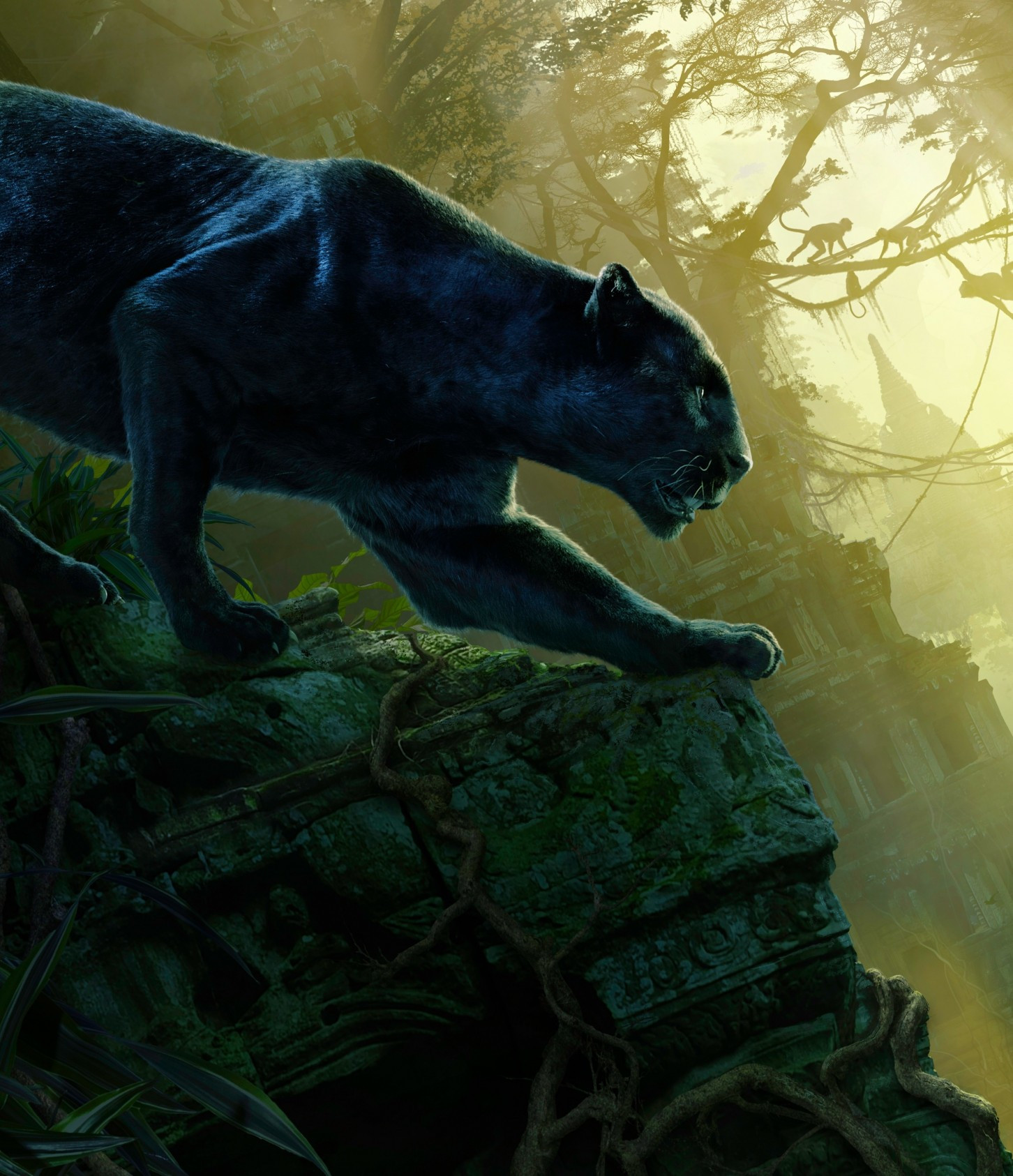 Bagheera Wallpapers Wallpaper Cave