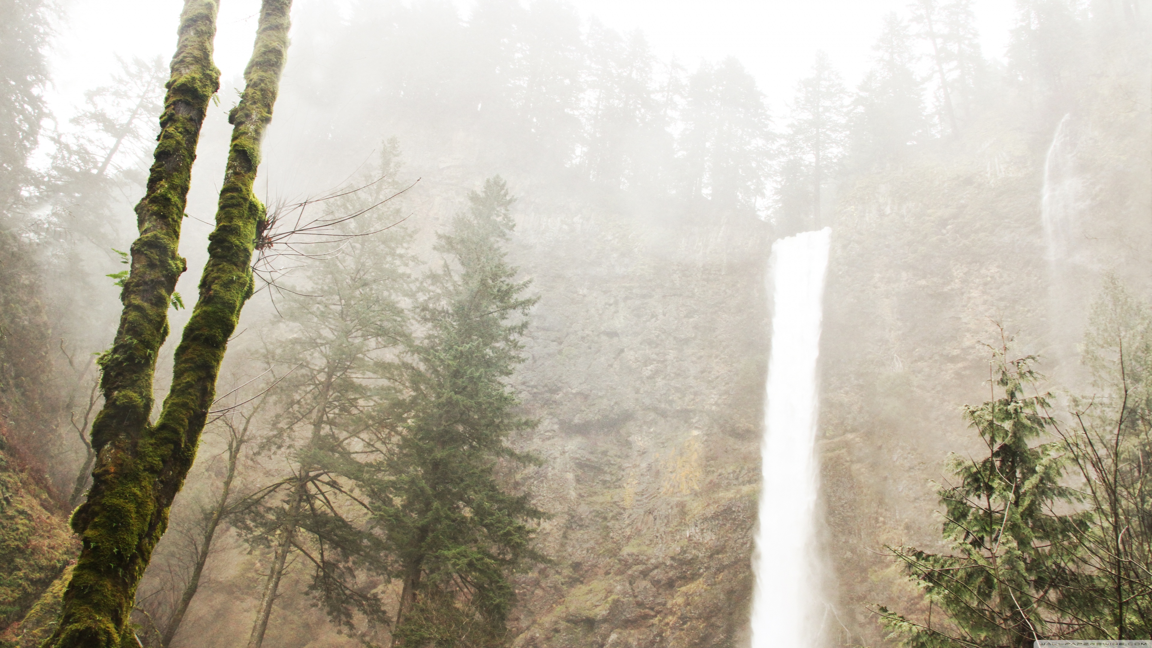 Multnomah Falls Wallpapers Wallpaper Cave