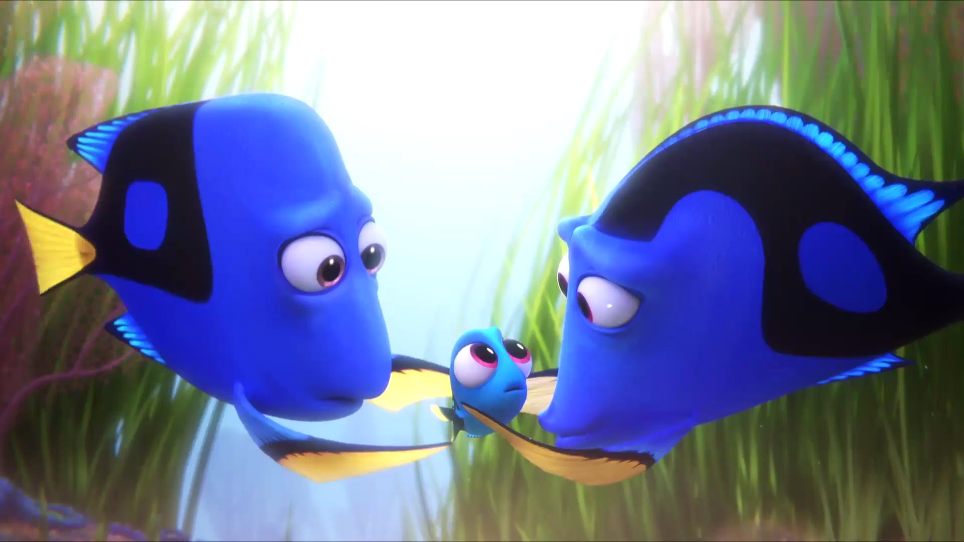 Baby Dory Wallpapers Wallpaper Cave