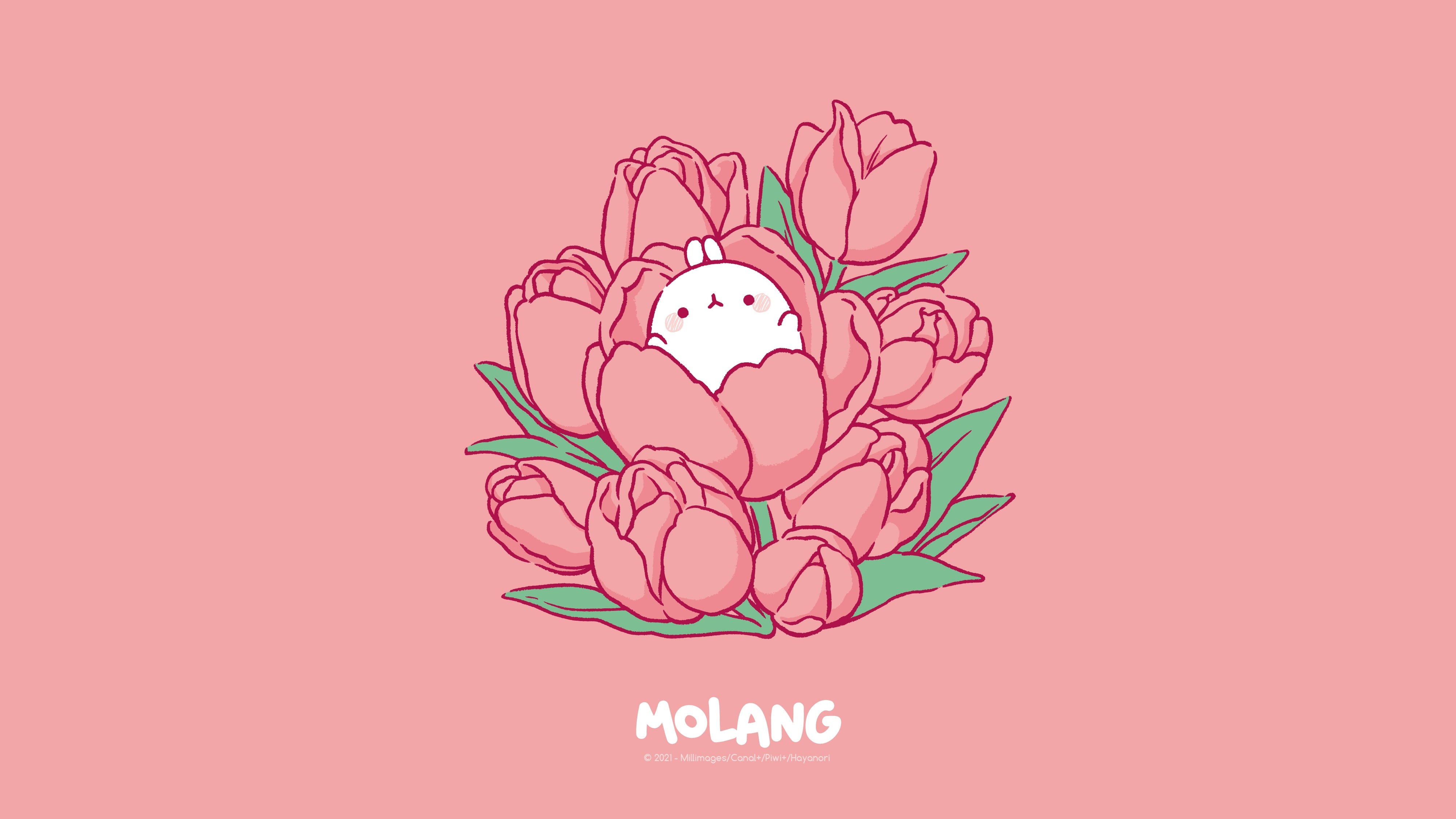 Molang Spring Desktop Wallpapers Wallpaper Cave