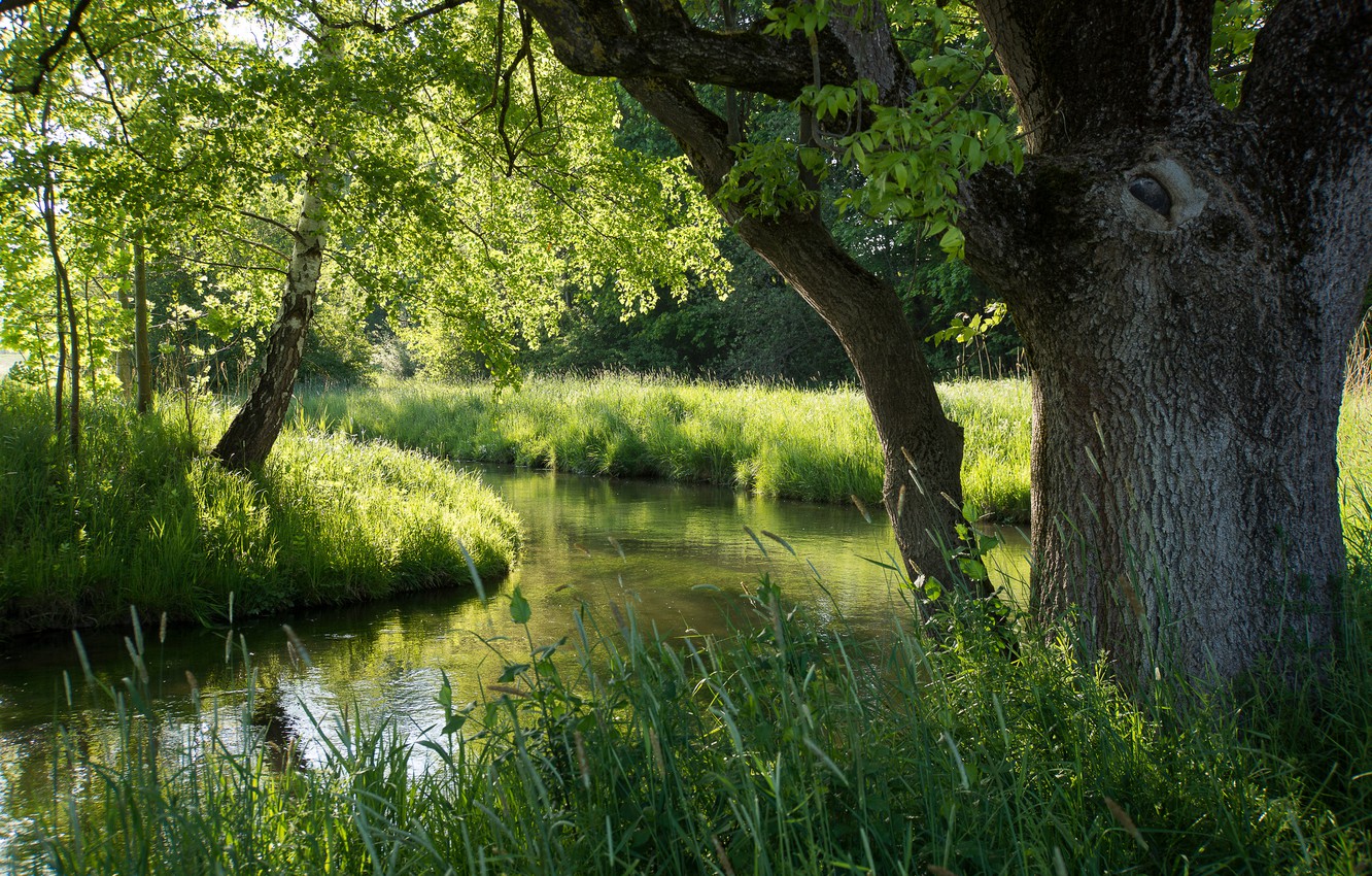 River Summer Wallpapers Wallpaper Cave