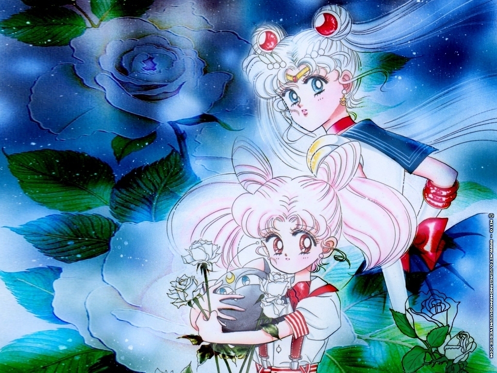 Sailor Moon Rini Wallpapers Wallpaper Cave