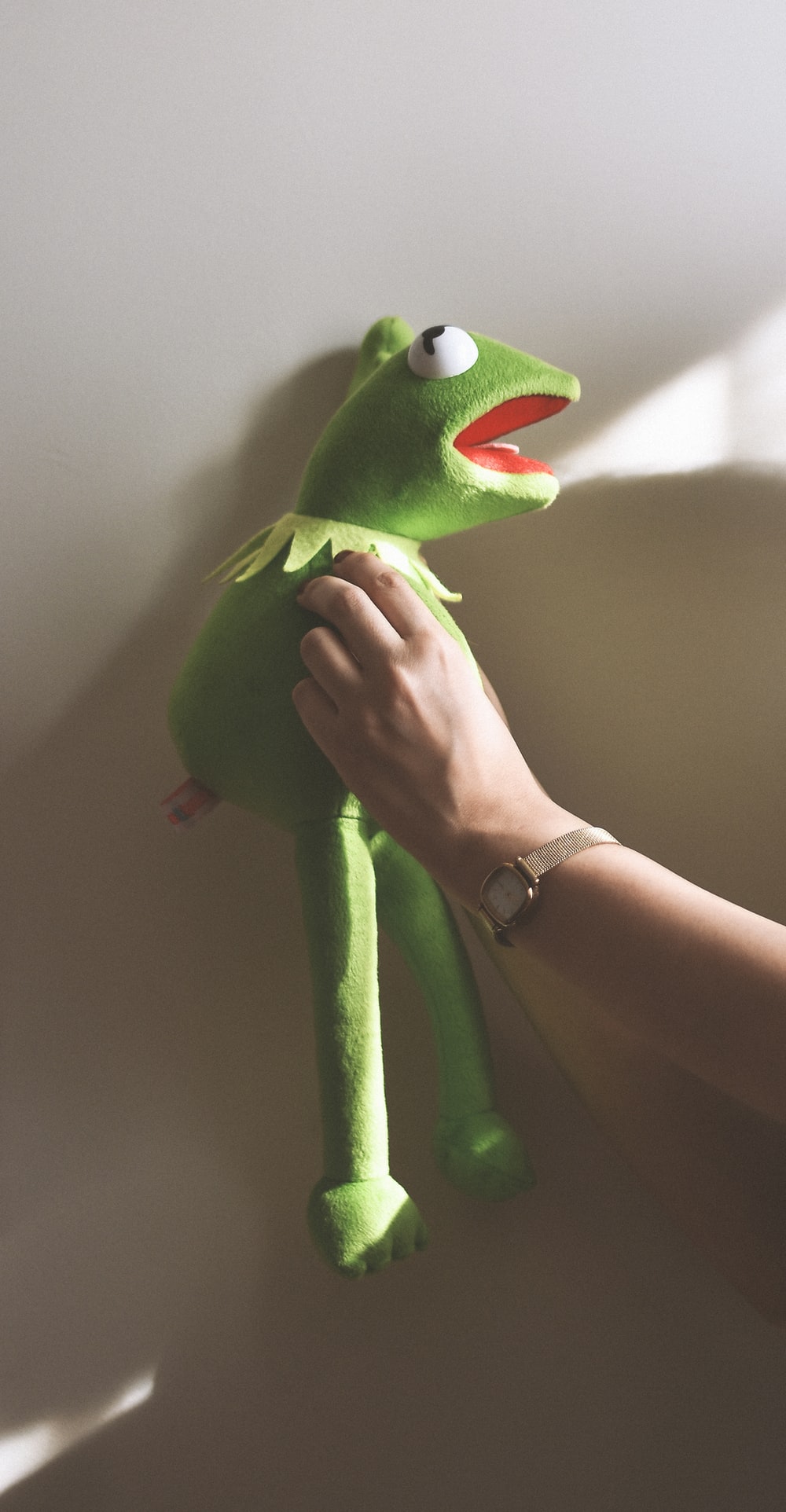 Kermit Funny Wallpapers Wallpaper Cave