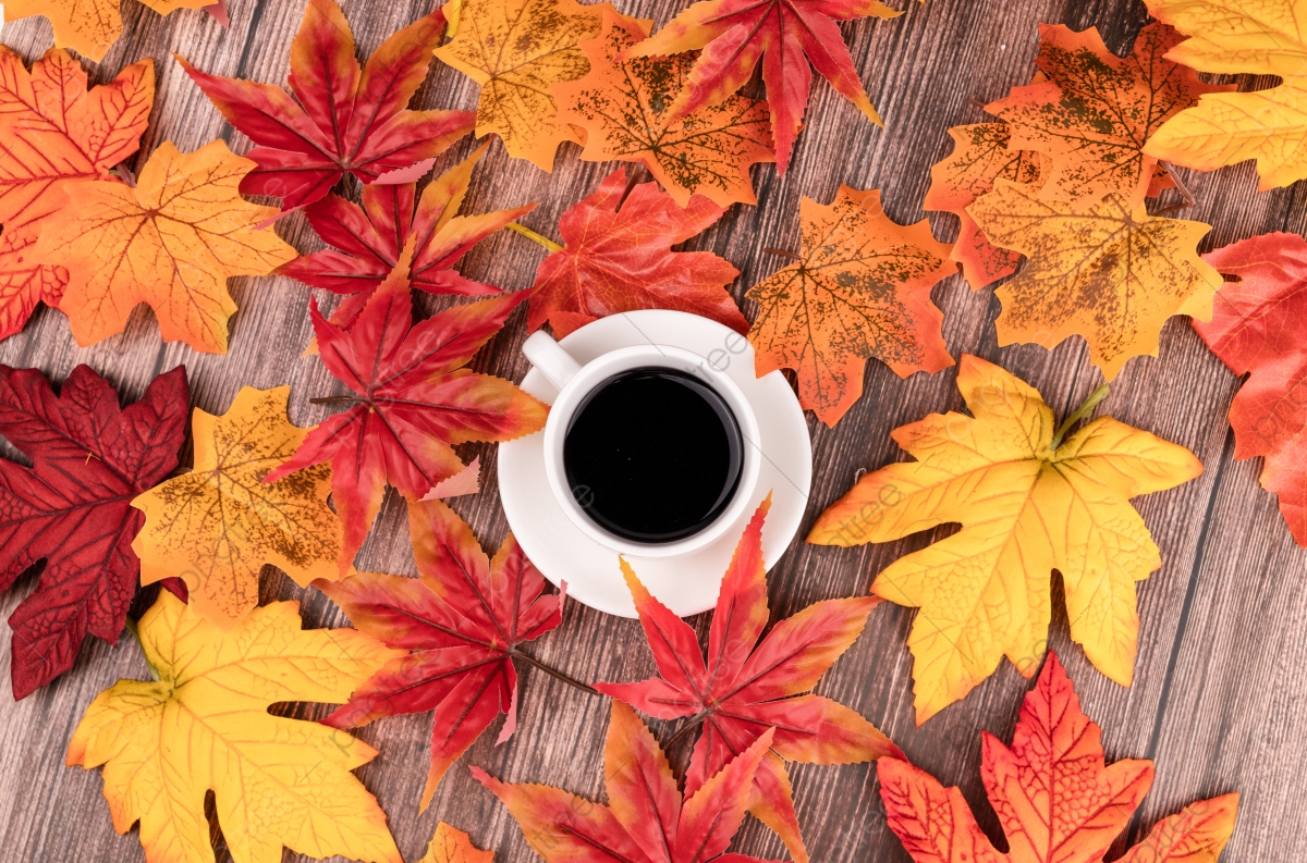 Autumn Leaves And Coffee Wallpapers Wallpaper Cave