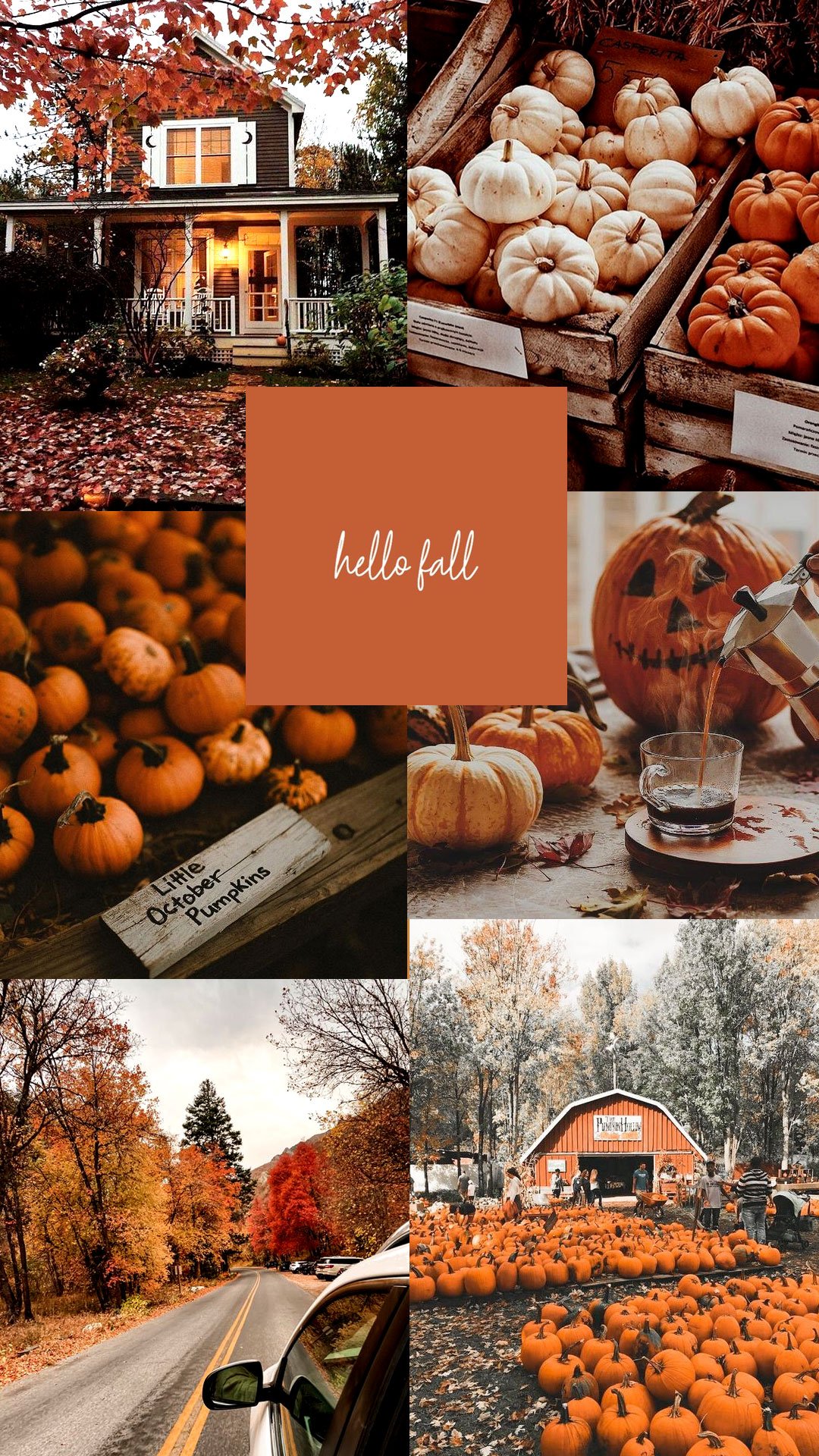 Cute Autumn Collage Wallpapers Wallpaper Cave