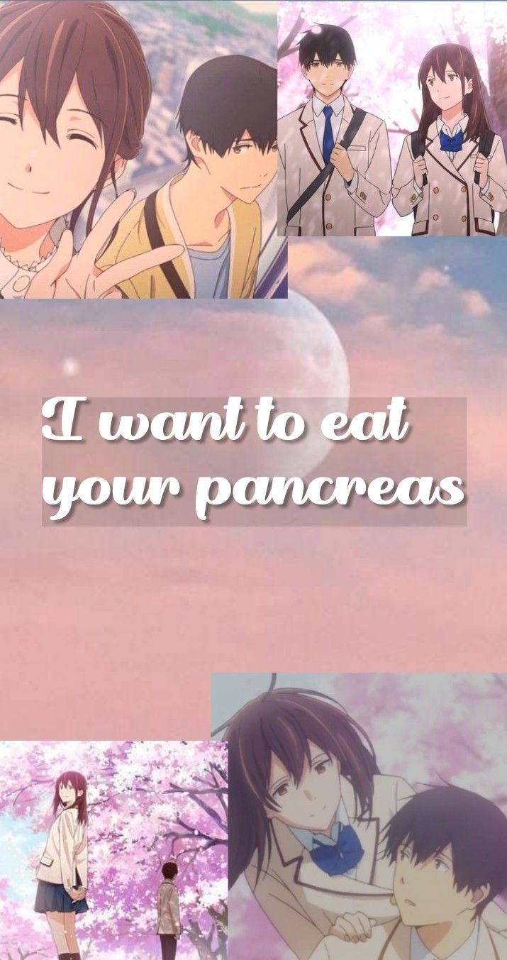 I Want To Eat Your Pancreas Hd Iphone Wallpapers Wallpaper Cave