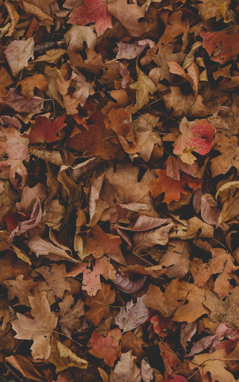 Grunge Autumn Wallpapers Wallpaper Cave