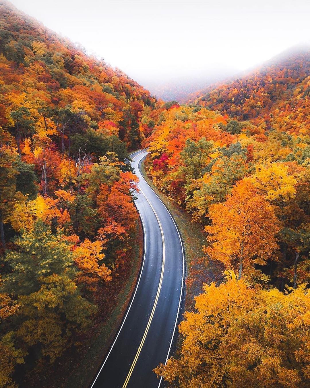 Autumn Roadway Wallpapers Wallpaper Cave