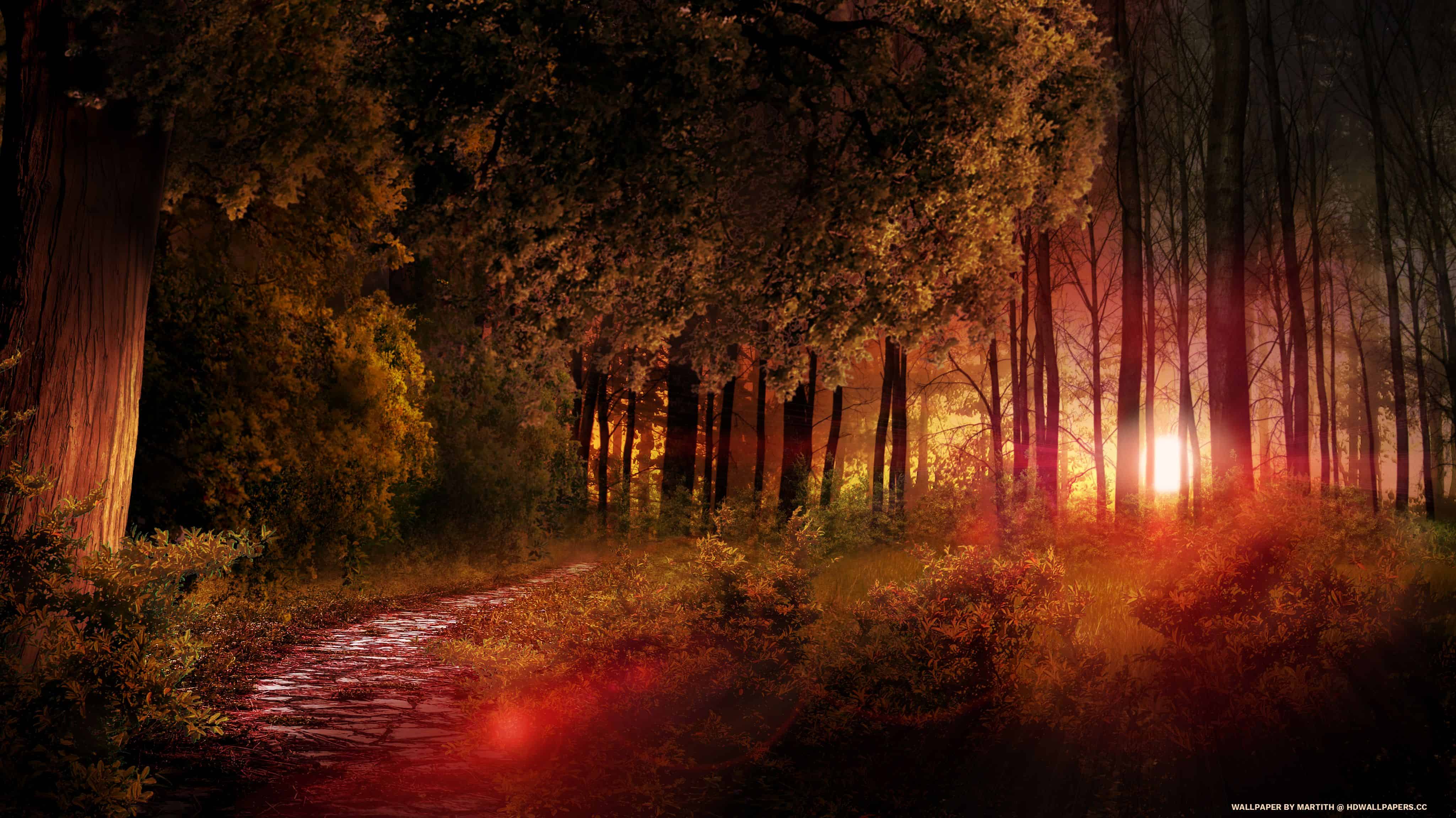 Autumn Twilight Wallpapers Wallpaper Cave