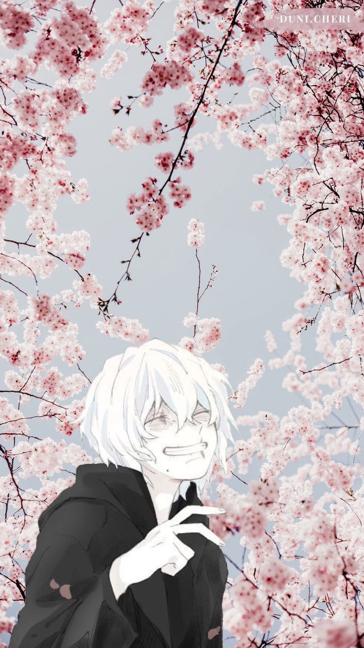 Shigaraki Cute Wallpapers Wallpaper Cave