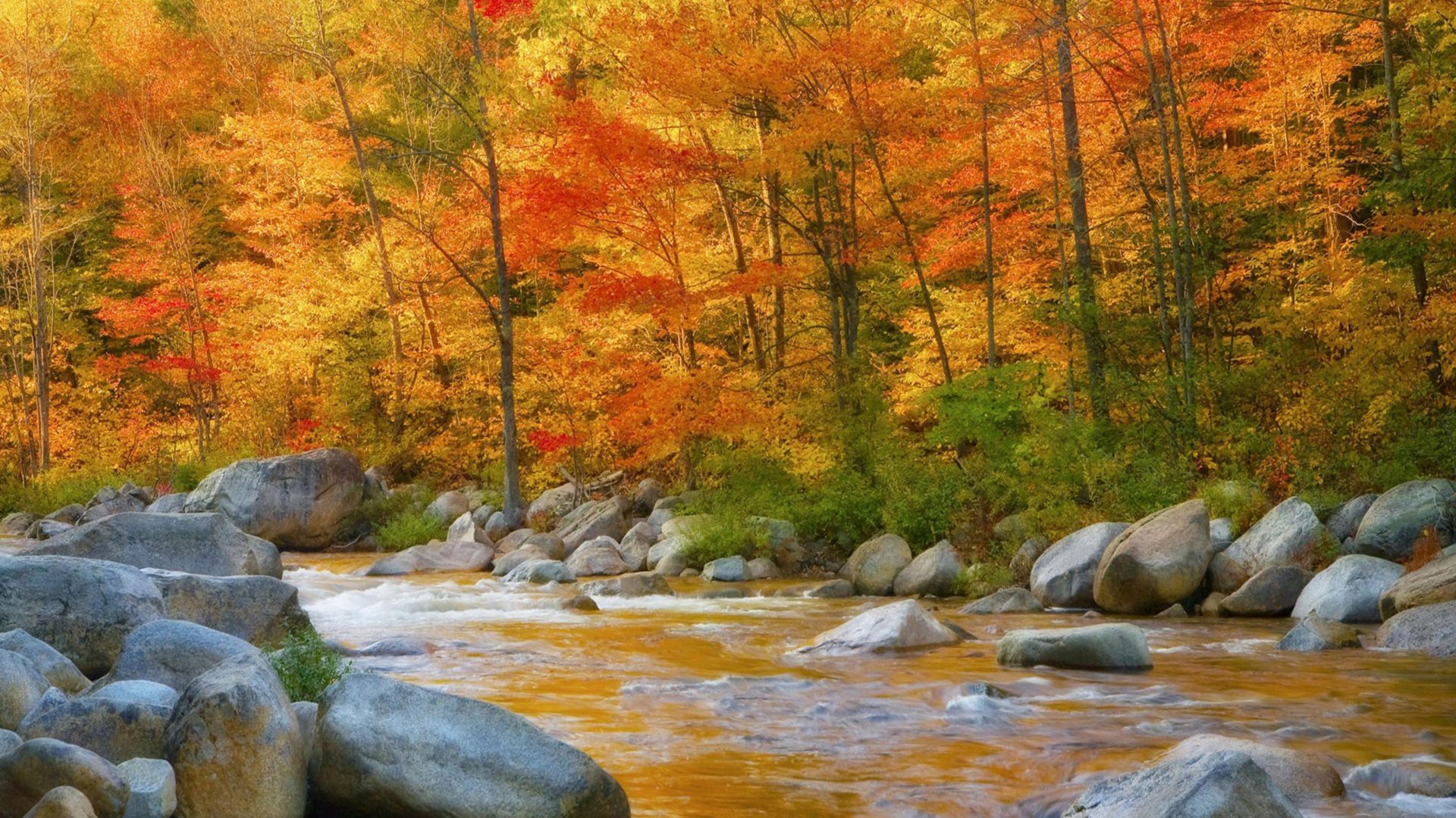 1920x1080 Autumn River Wallpapers Wallpaper Cave