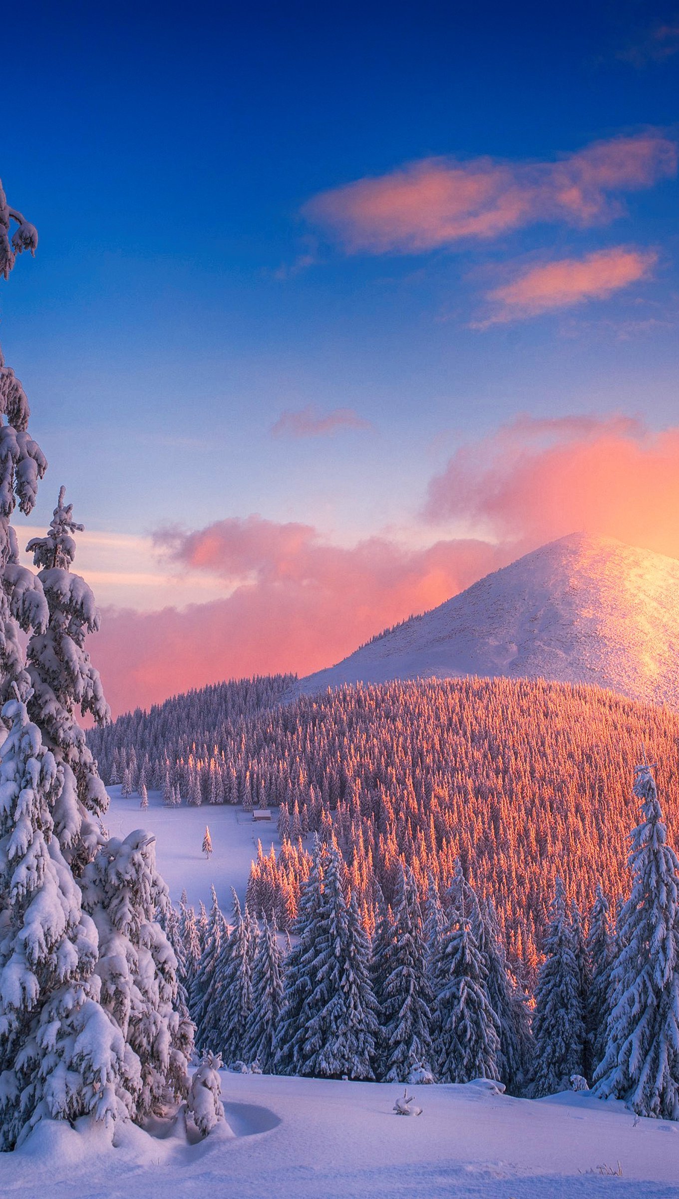 Snowy Sunset Wallpapers Wallpaper Cave