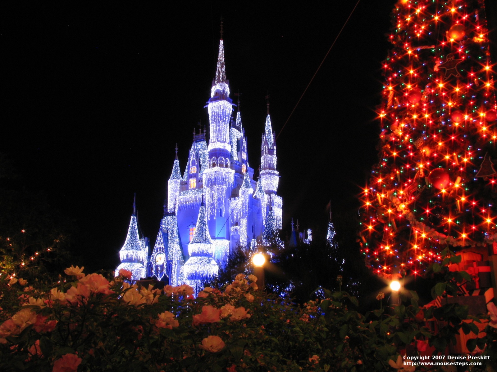 Disney World Christmas Wallpapers Wallpaper Cave