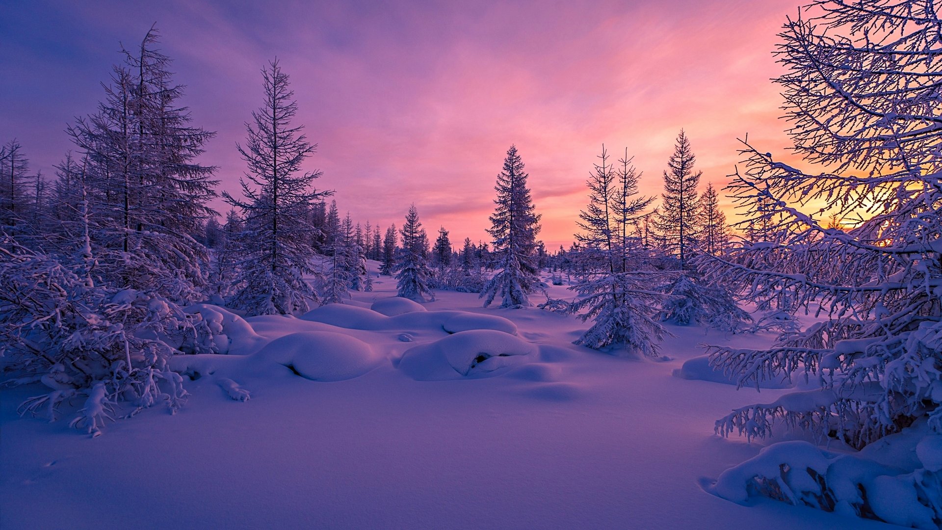 Purple Winter Sunset Wallpapers Wallpaper Cave