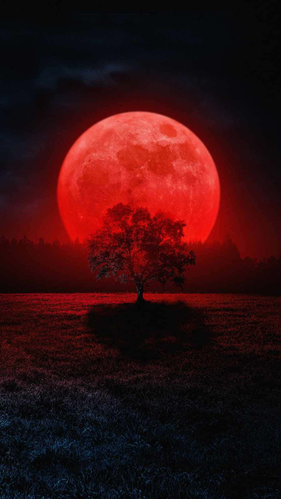 Super Moon Phone Wallpapers Wallpaper Cave