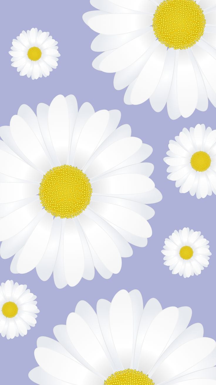 Aesthetic Daisy HD Wallpapers Wallpaper Cave