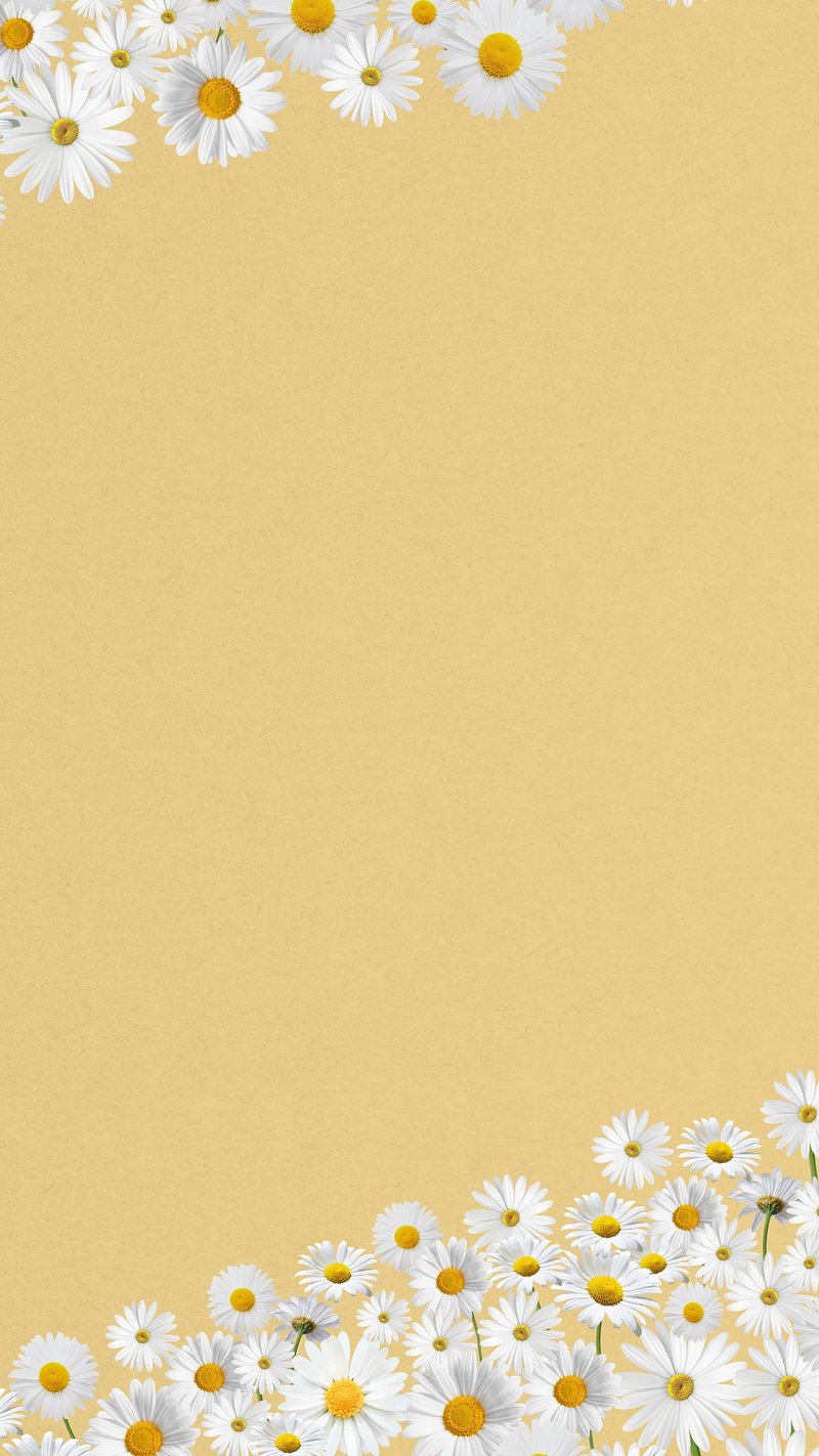 Aesthetic Daisies Wallpapers Wallpaper Cave