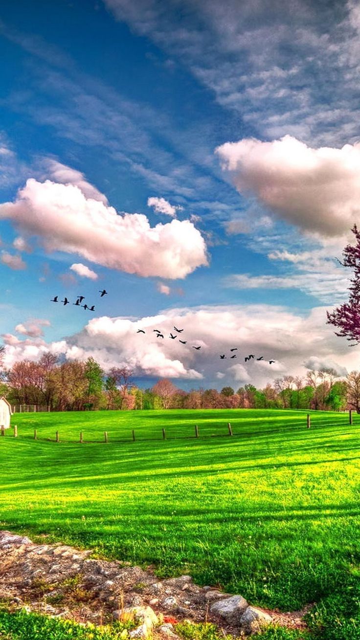 Nature Spring Meadows Wallpapers Wallpaper Cave