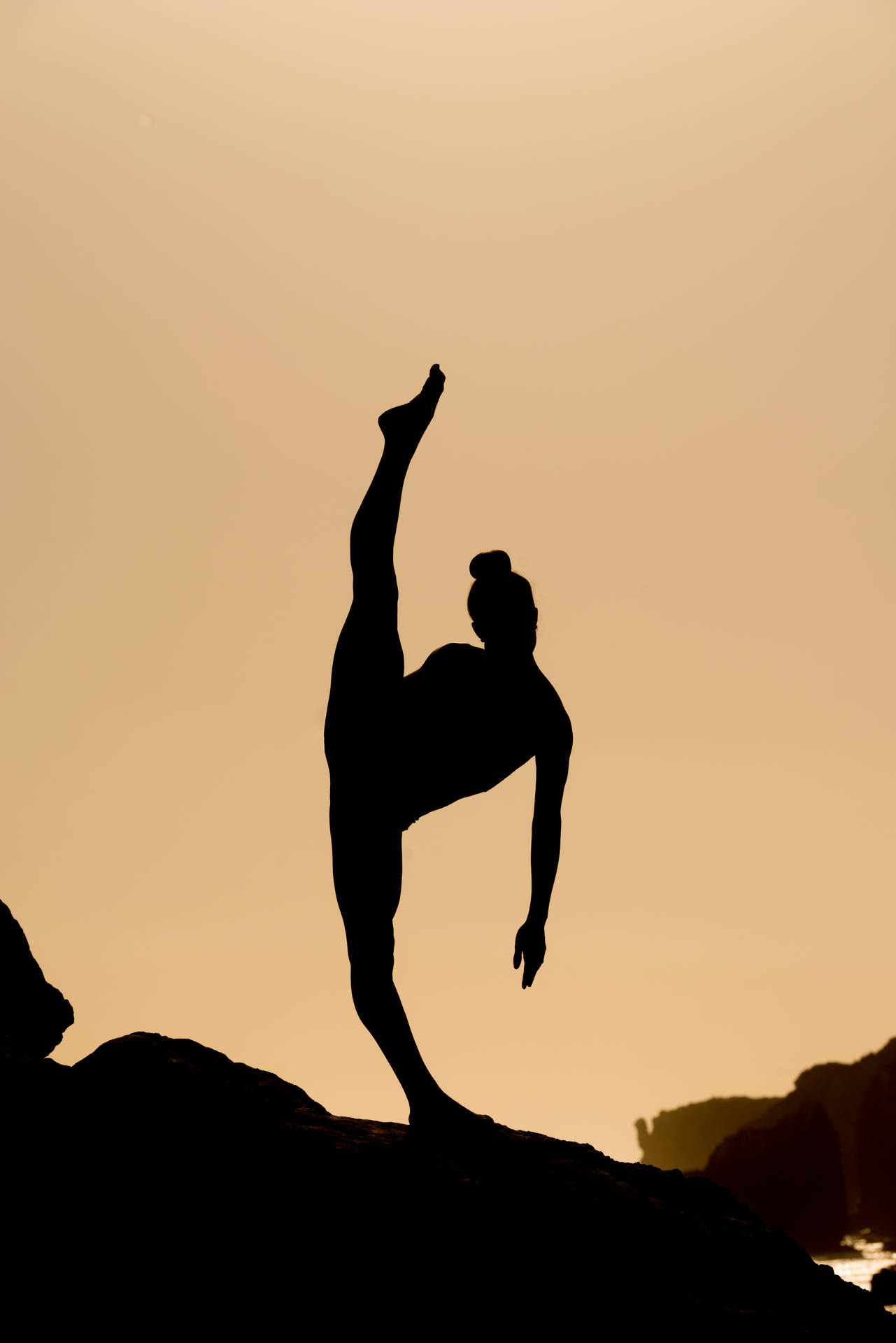 Download Gymnastics Leg Lift Silhouette