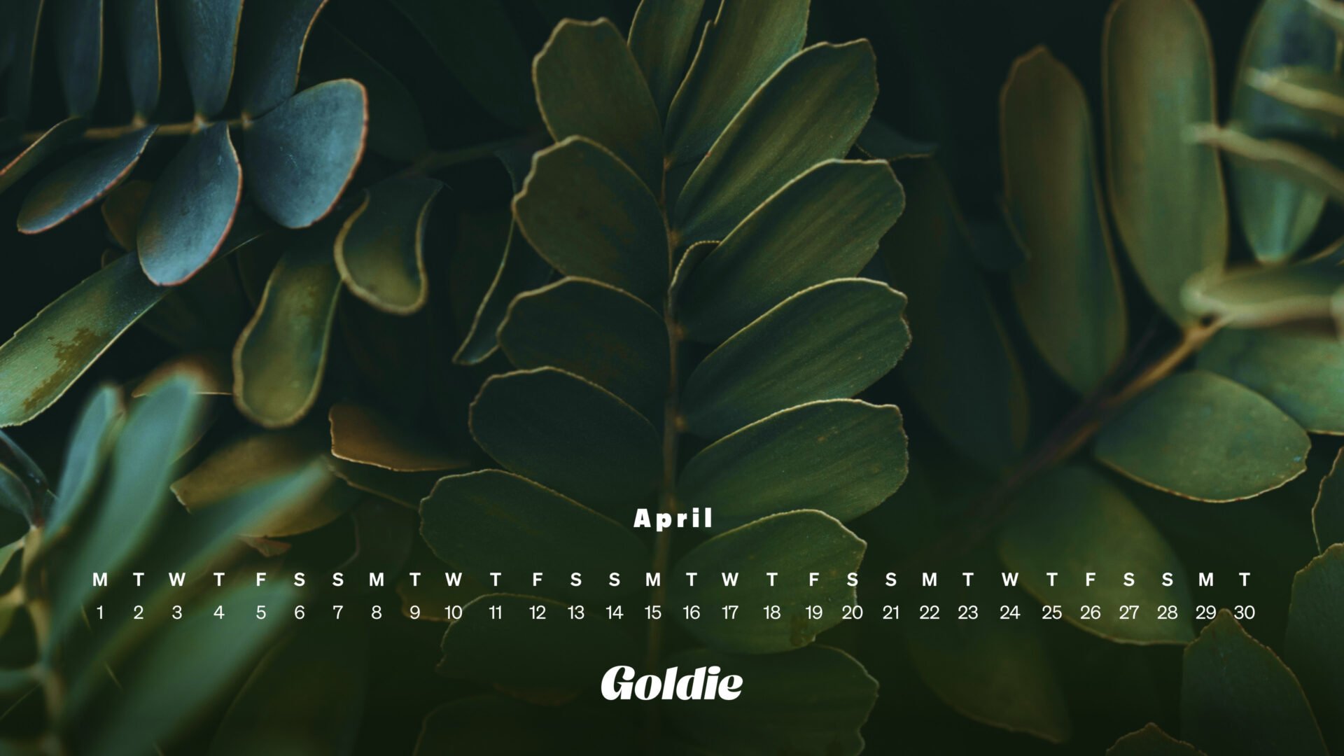 Free April 2024 Calendar Wallpaper