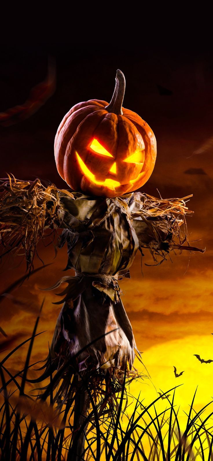 Halloween Scarecrow Wallpapers Wallpaper Cave