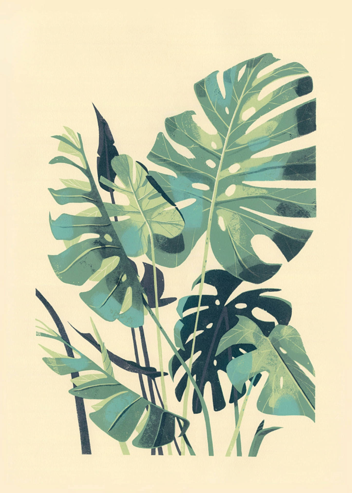 Monstera Wallpapers Wallpaper Cave