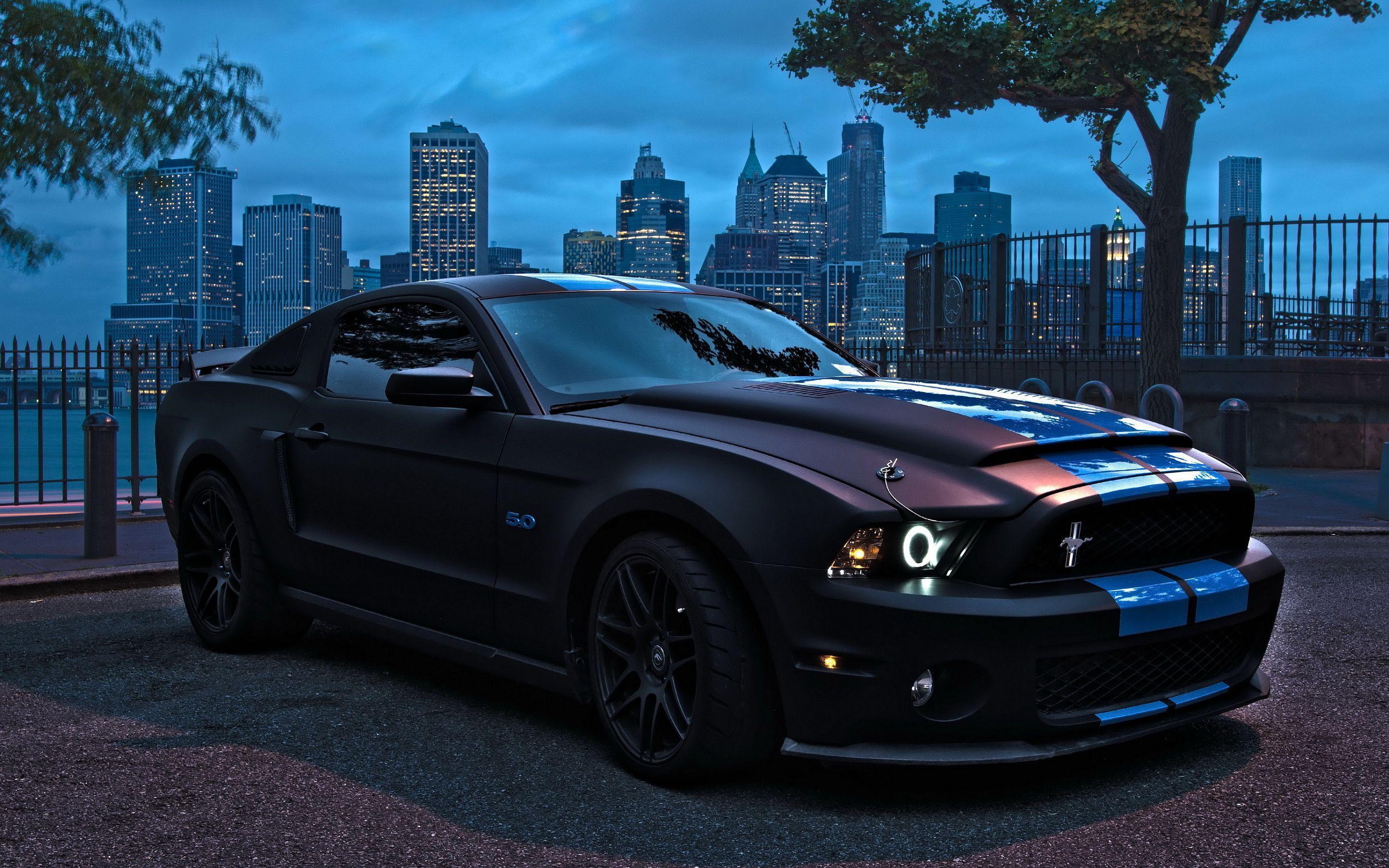 Shelby Mustang. Ford Mustang Shelby GT 500 Black HD Wallpaper