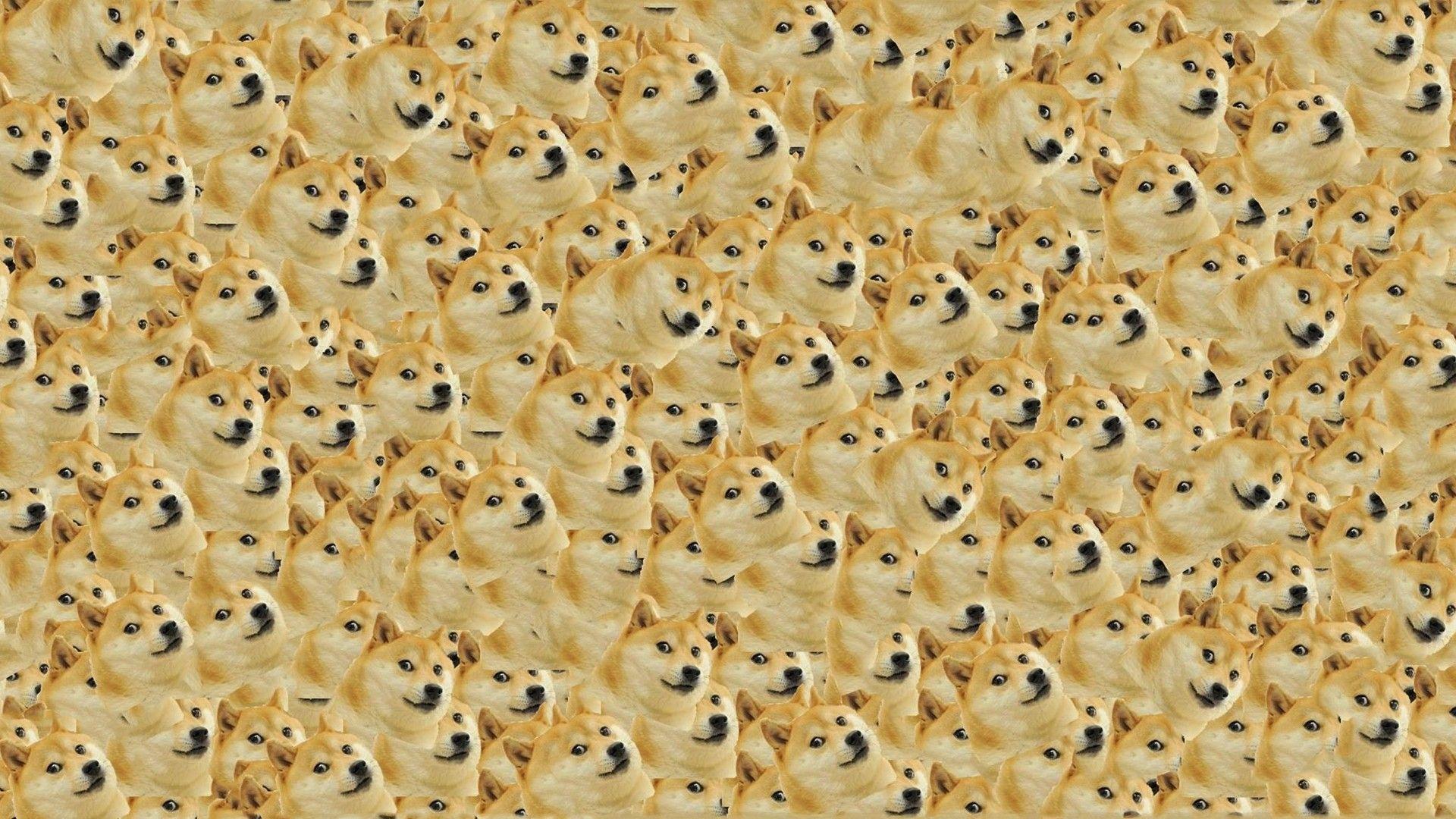 Doge in SPACE Wallpaper (1920x1080)