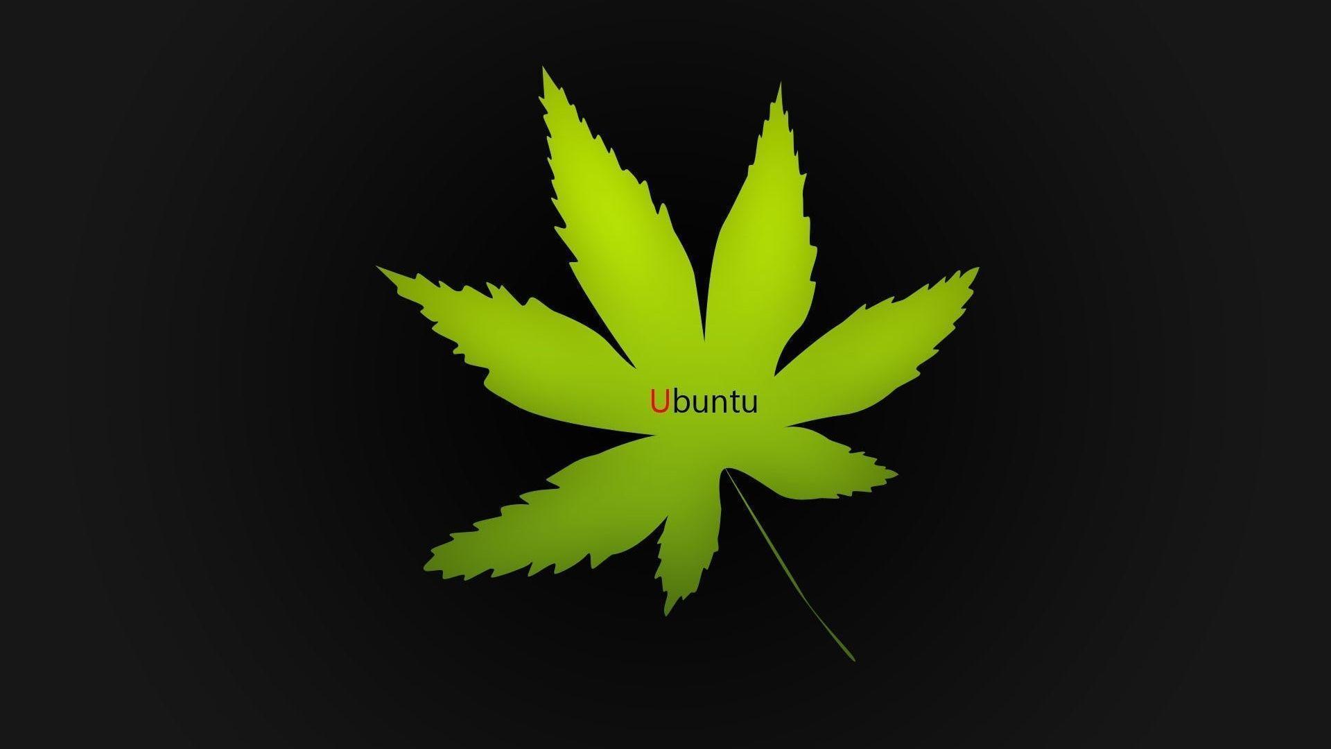 Marijuana, Leaves, Ubuntu, Ganja, Marijuana Leaf Ubuntu