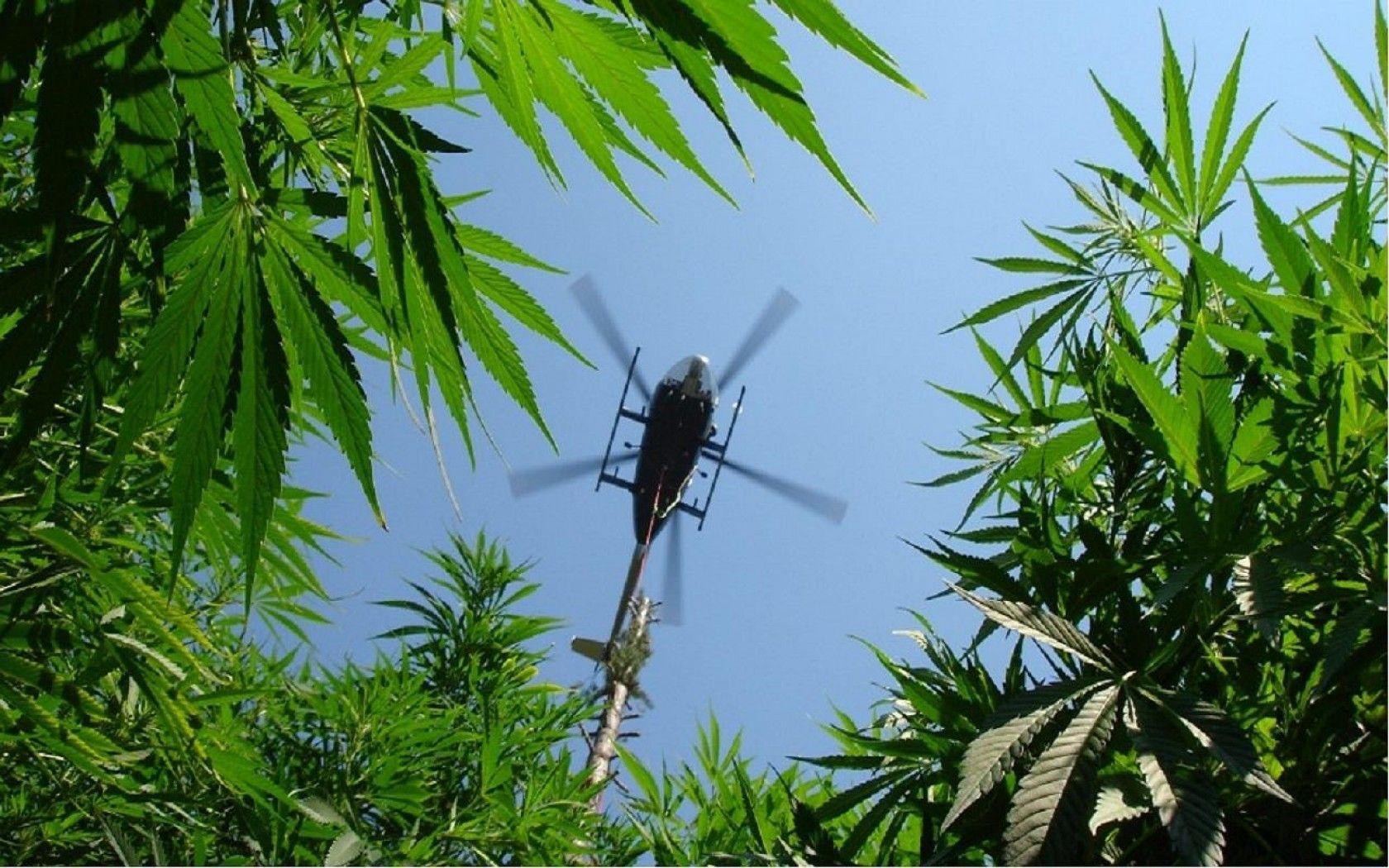 Marijuana weed 420 ganja Helicopter f wallpaperx1050