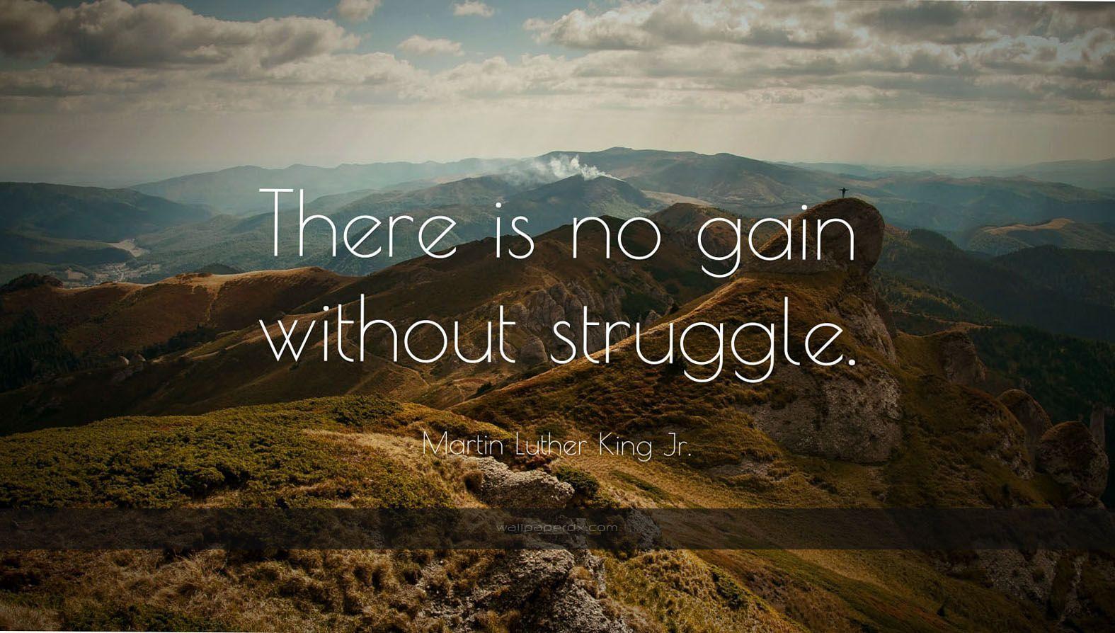 martin luther king jr quote there is no gain without struggle