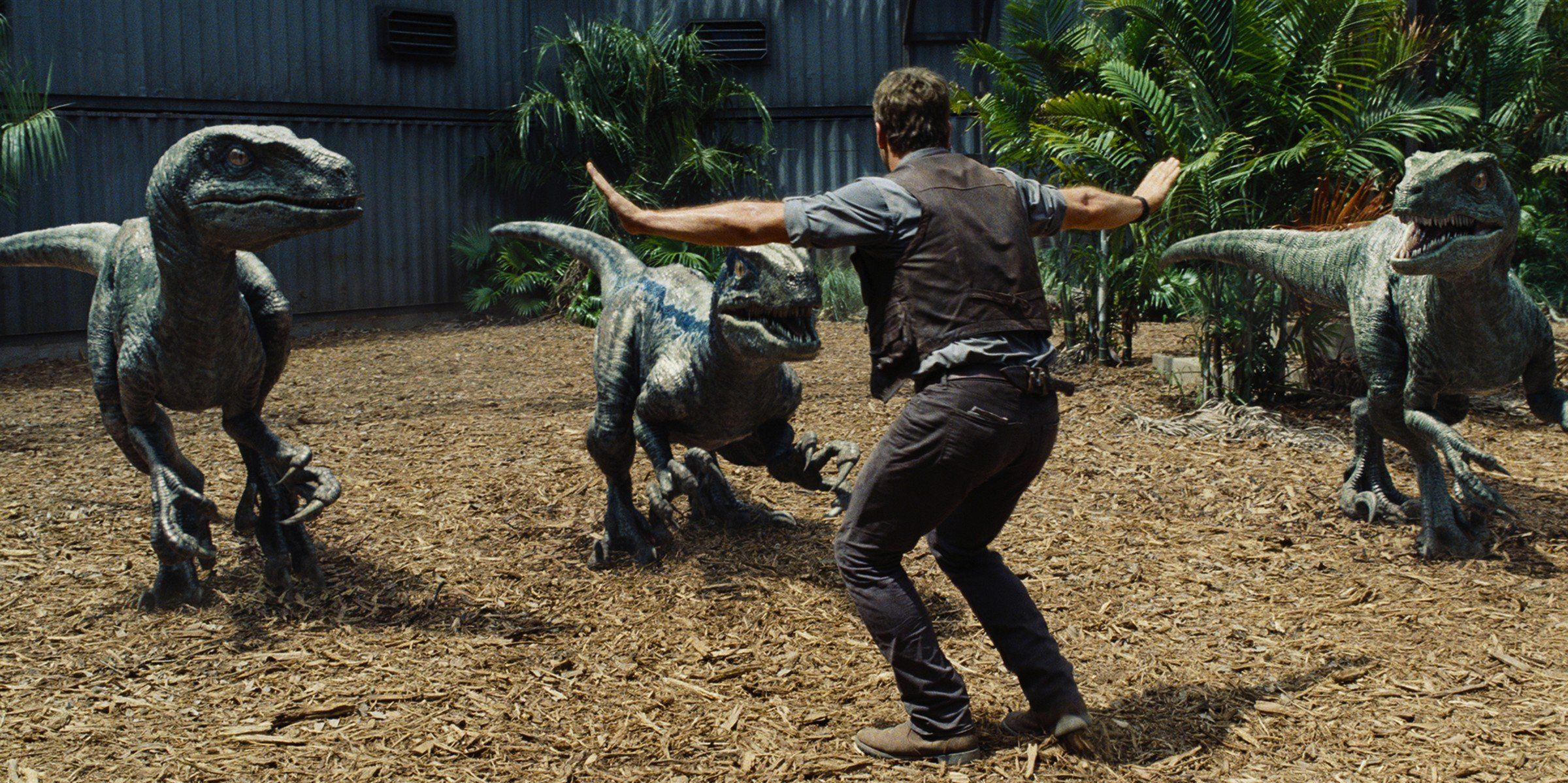 Chris Pratt Fights Dinosaurs In Jurassic World Wallpaper