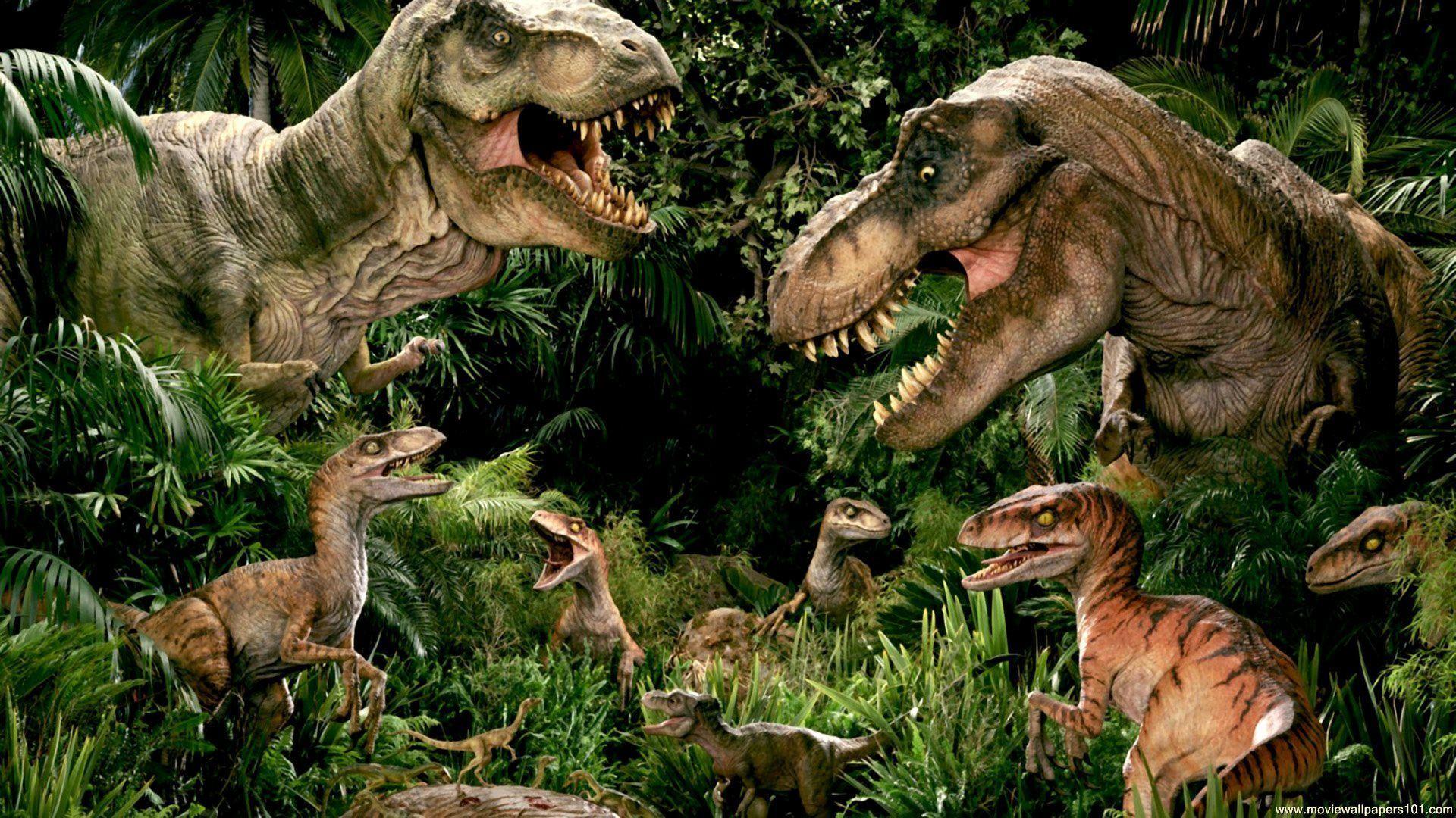 Jurassic World Dinosaurs Movie HD Wallpaper Stylish HD Wallpaper