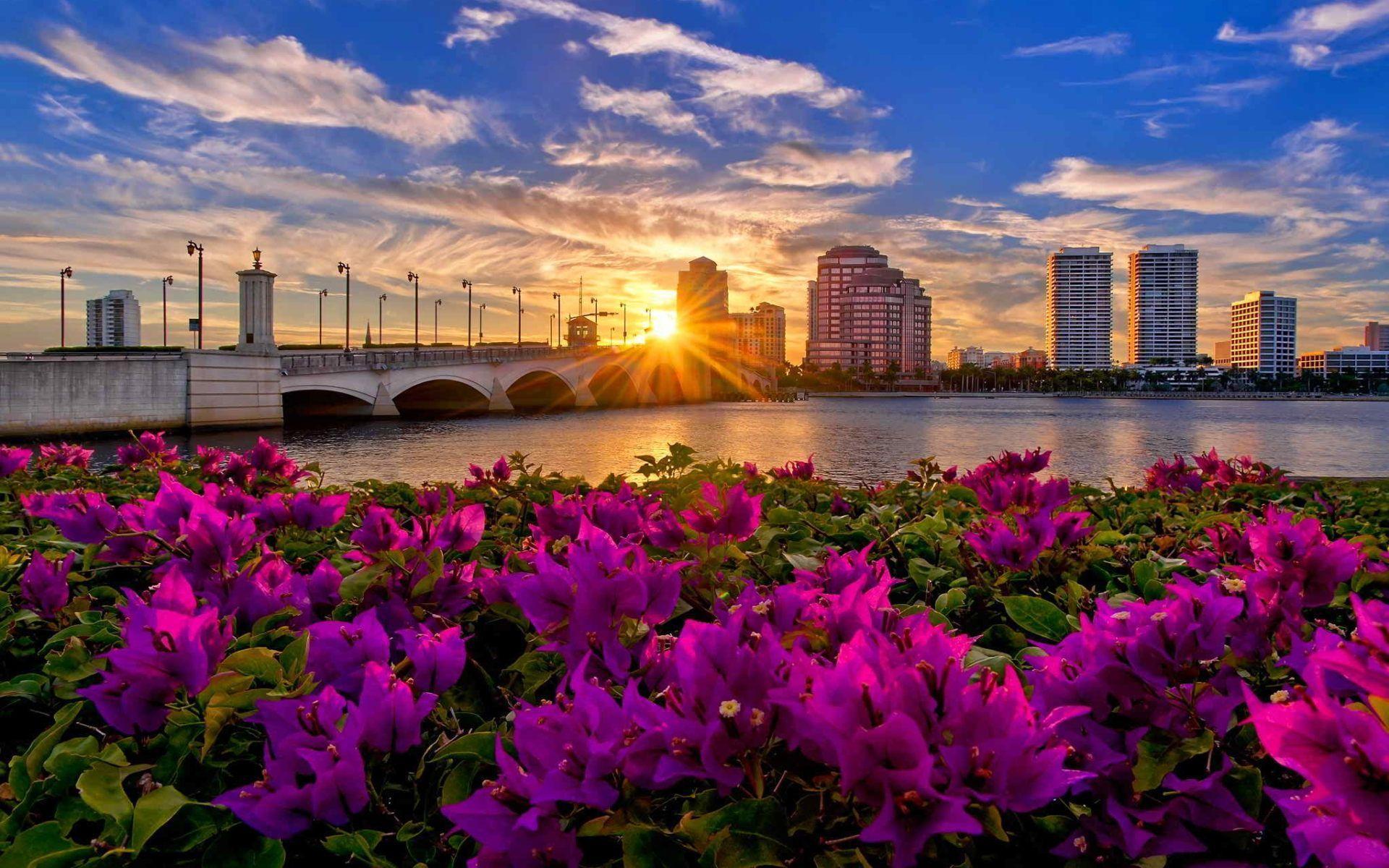 Palm Beach Florida Wallpaper HD Download For Desktop