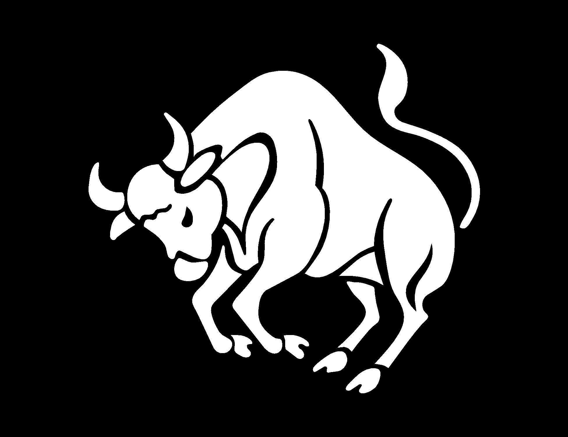 Taurus on a black background wallpaper and image