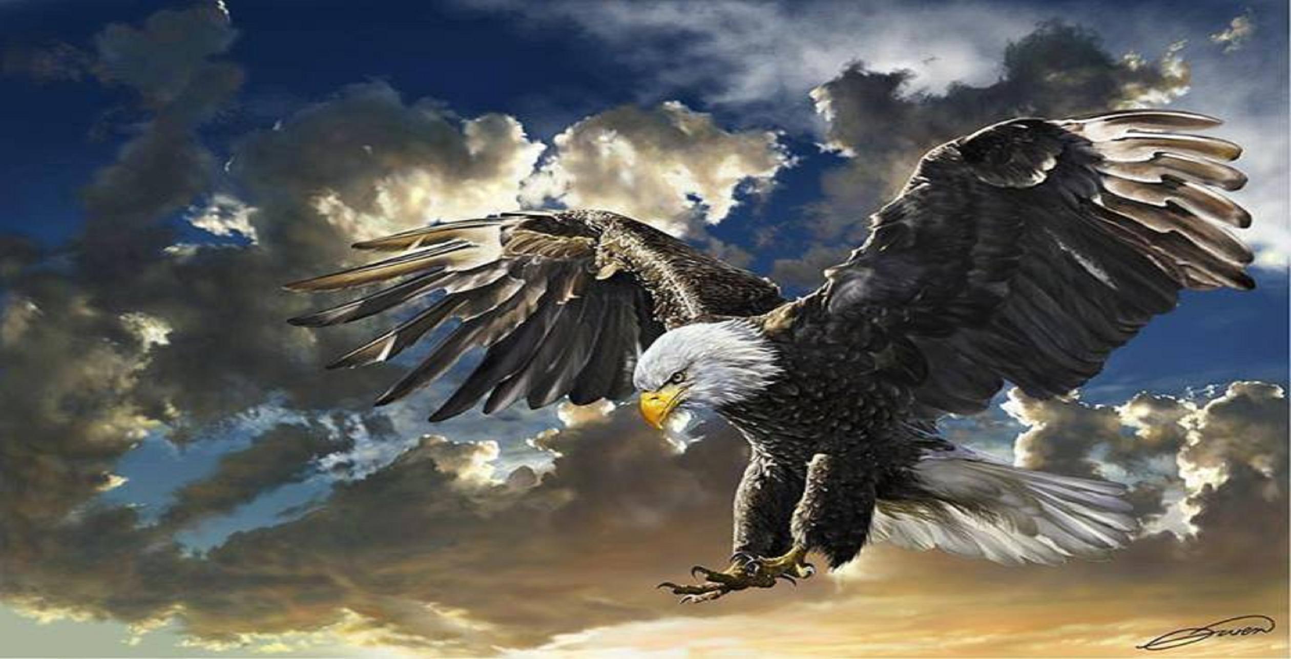 Eagle Desktop Wallpaper