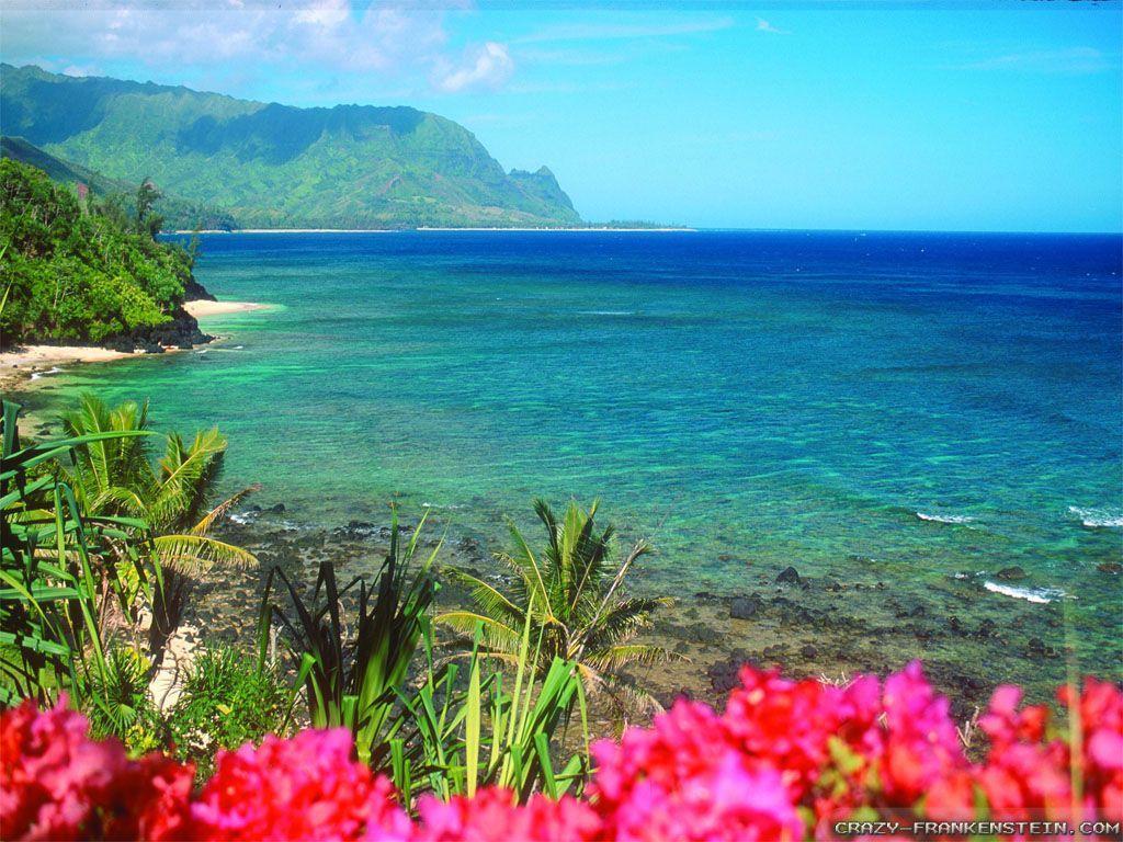 Adorable HDQ Background of Hawaiian, 44 Hawaiian Full HD Wallpaper