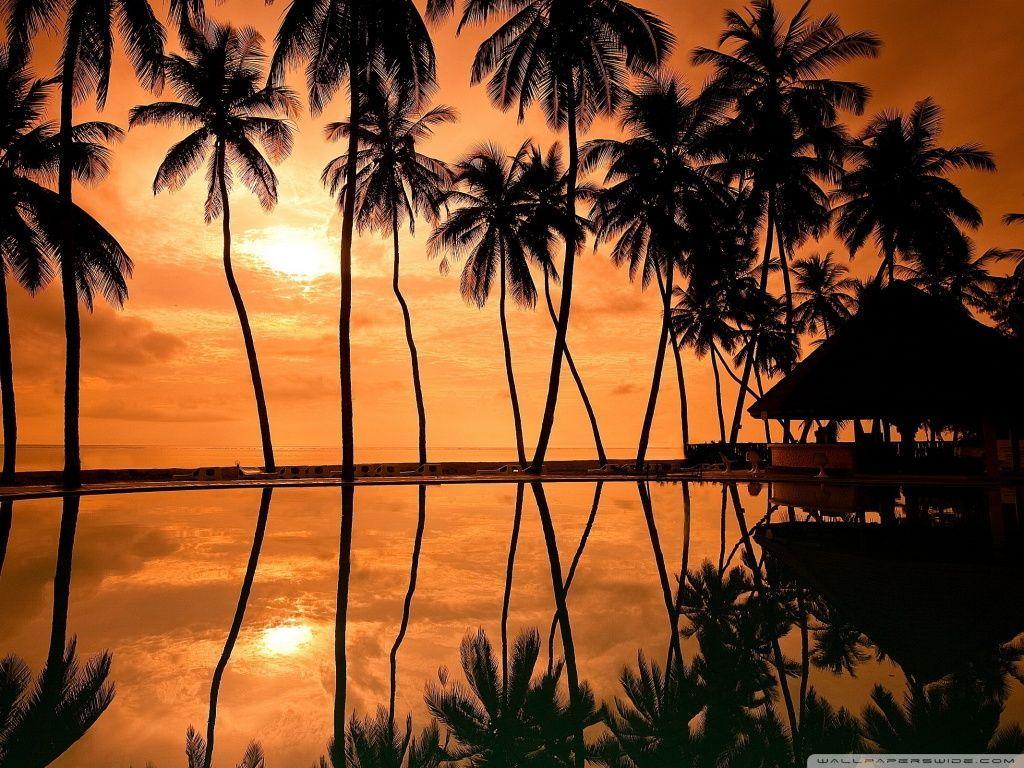 Hawaiian Beach Sunset Reflection HD desktop wallpaper, High