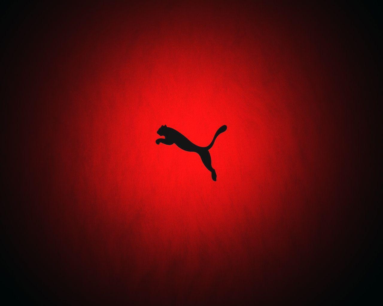 HD Puma Wallpaper. Puma Best Picture Collection