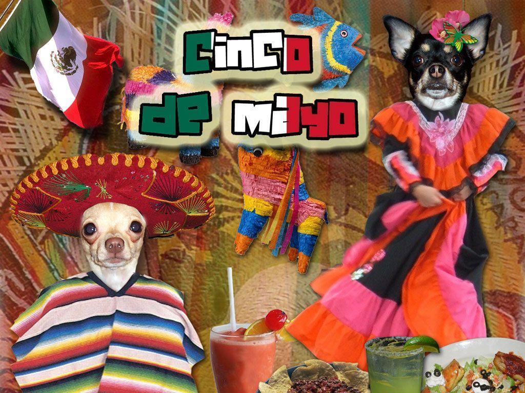 For Cinco De Mayo Picture