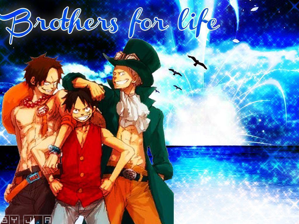 Luffy Ace and Sabo Wallpaper Piece Anime Wallpaper