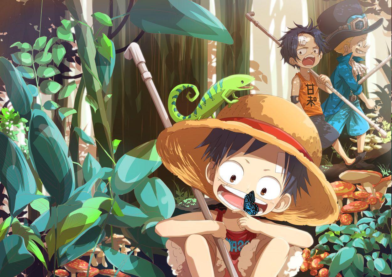 One Piece, Monkey D. Luffy, Sabo, Portgas D. Ace Wallpaper HD