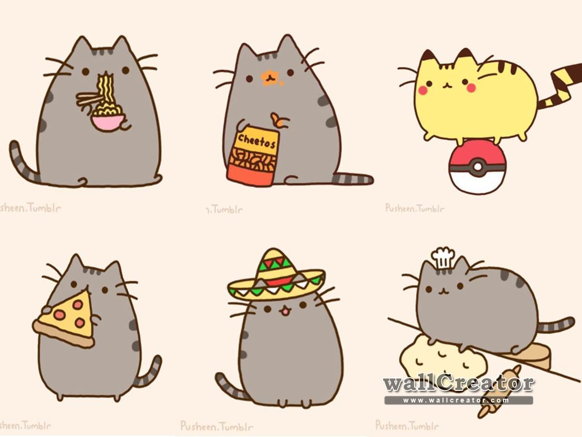 best image about Pusheen Cat ღ. Cats, Donuts