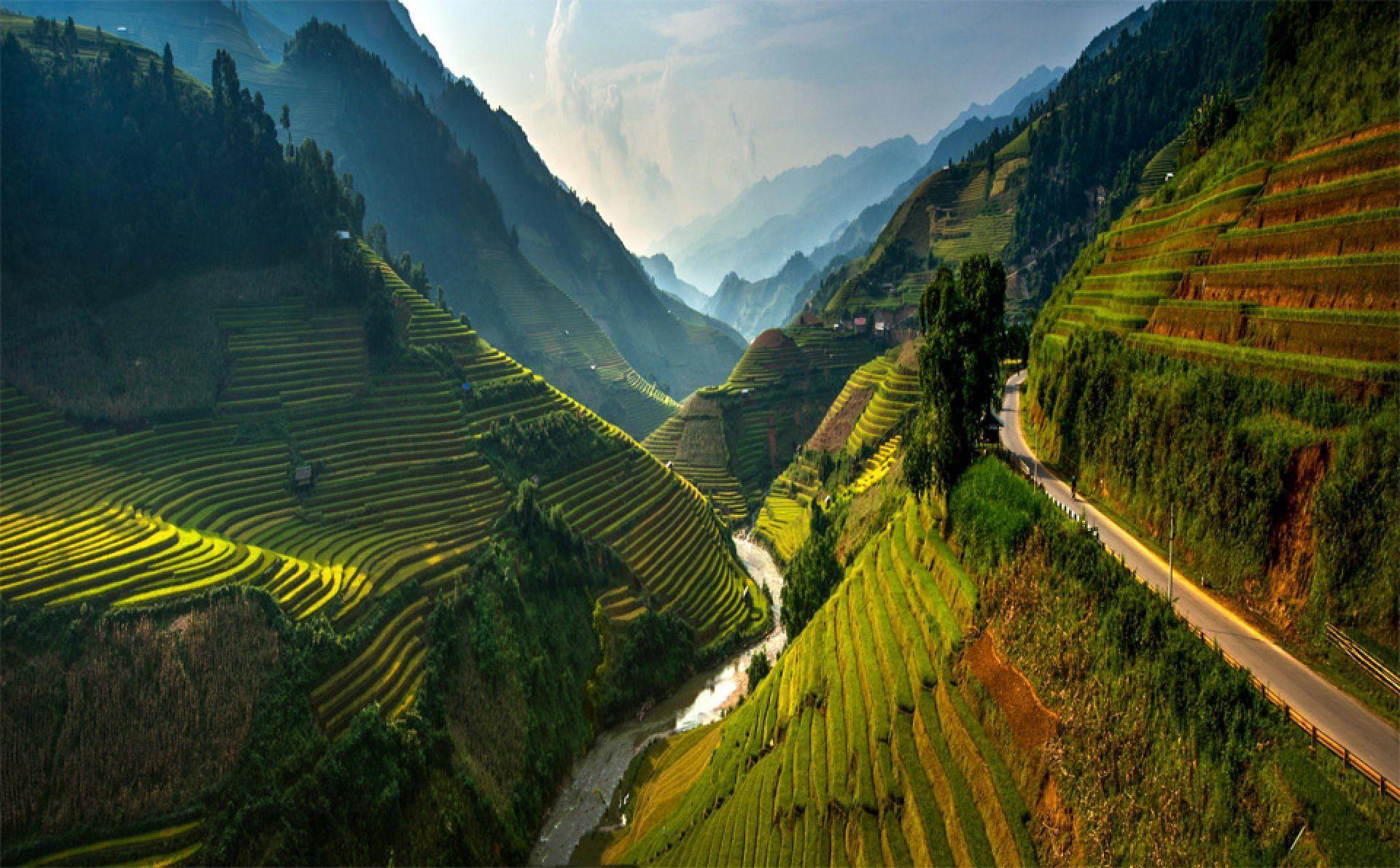 Stunning Rice Terraces Northeast Vietnam. HD Nature Wallpaper