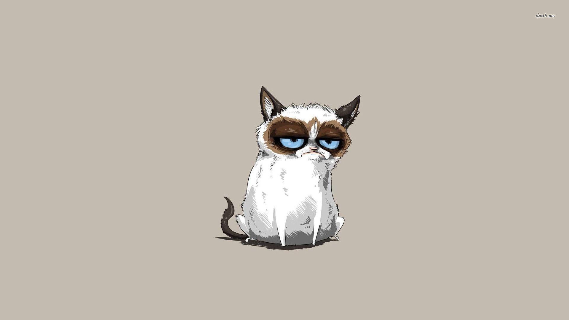 Grumpy Cat Wallpapers - Wallpaper Cave