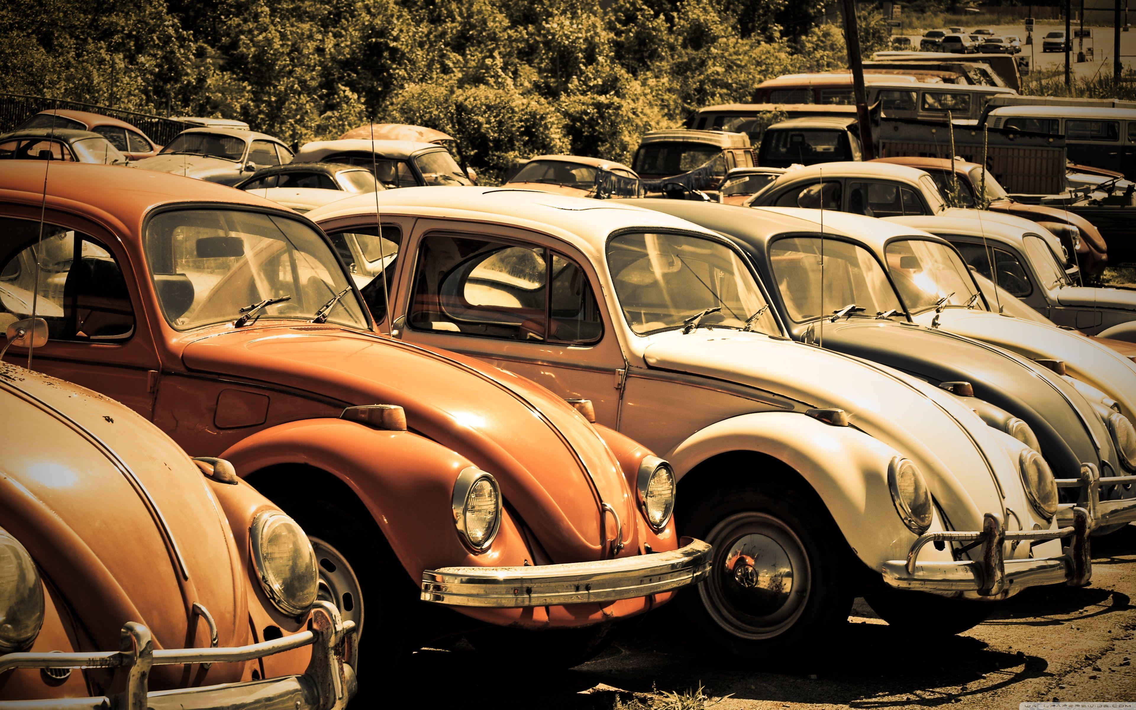 Old Volkswagen Beetle Junkyard HD desktop wallpaper, High