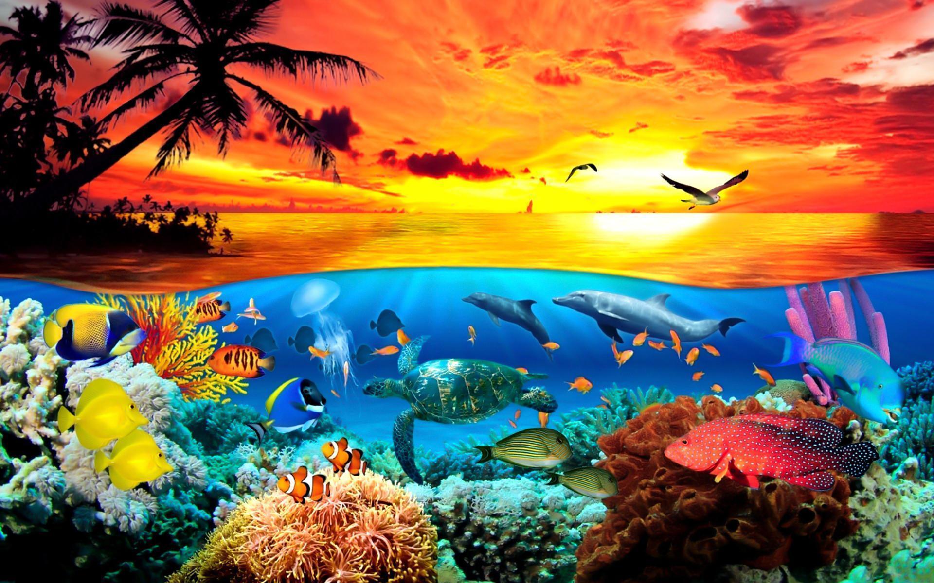 Under The Sea Animals World Wallpaper